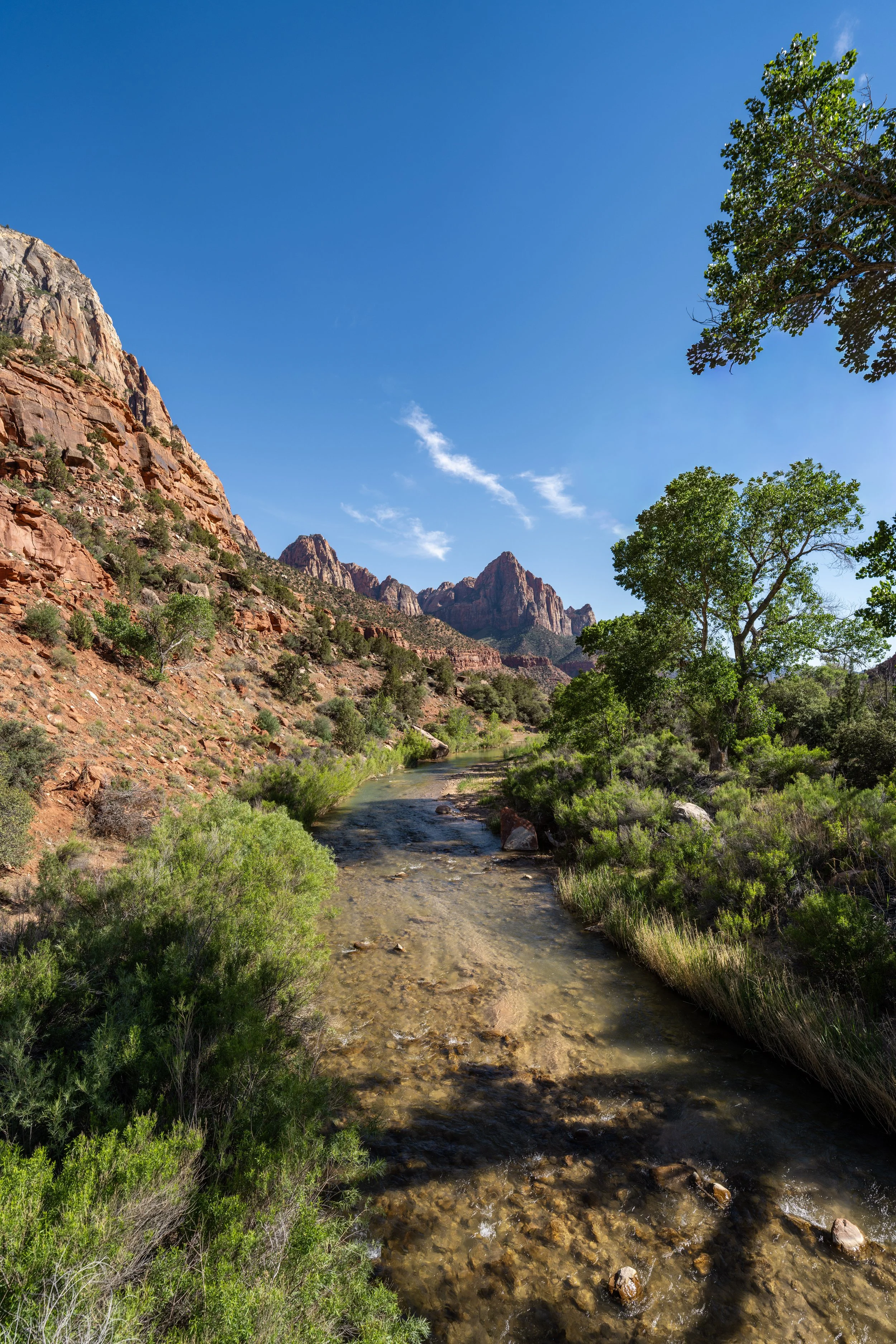 Hiking the Pa'rus Trail in Zion National Park