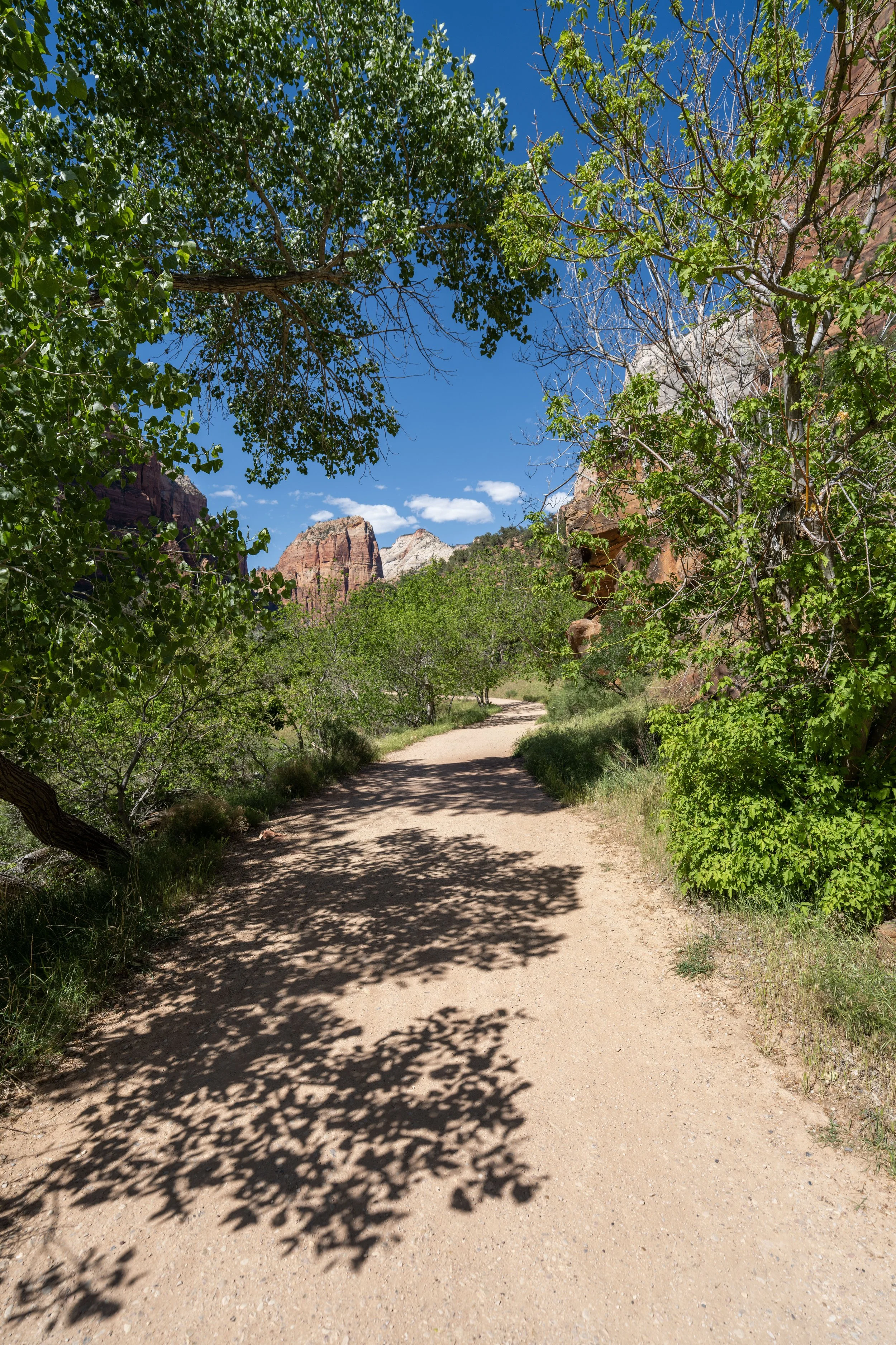 Hiking the Grotto Trail in Zion National Park