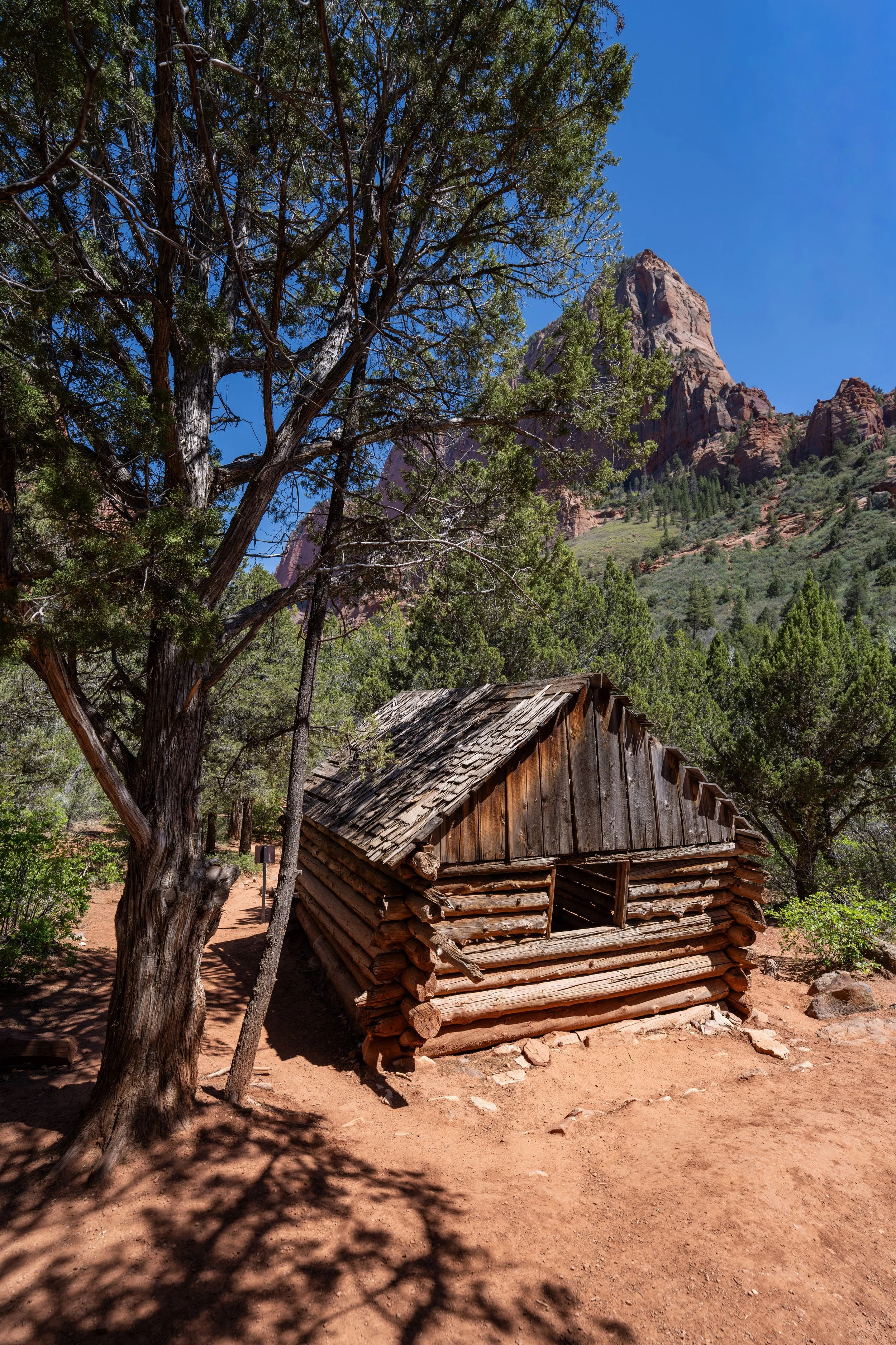 Hiking the Middle Taylor Creek Trail in Zion National Park