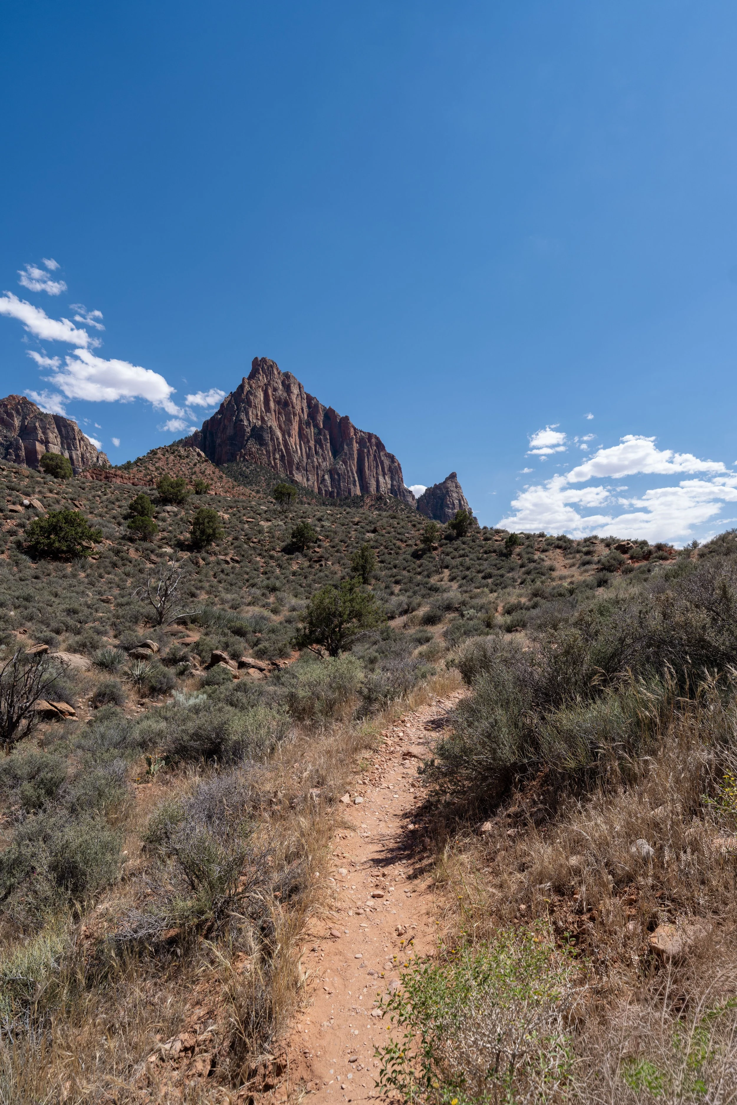 Hiking the Archaeology in Zion National Park
