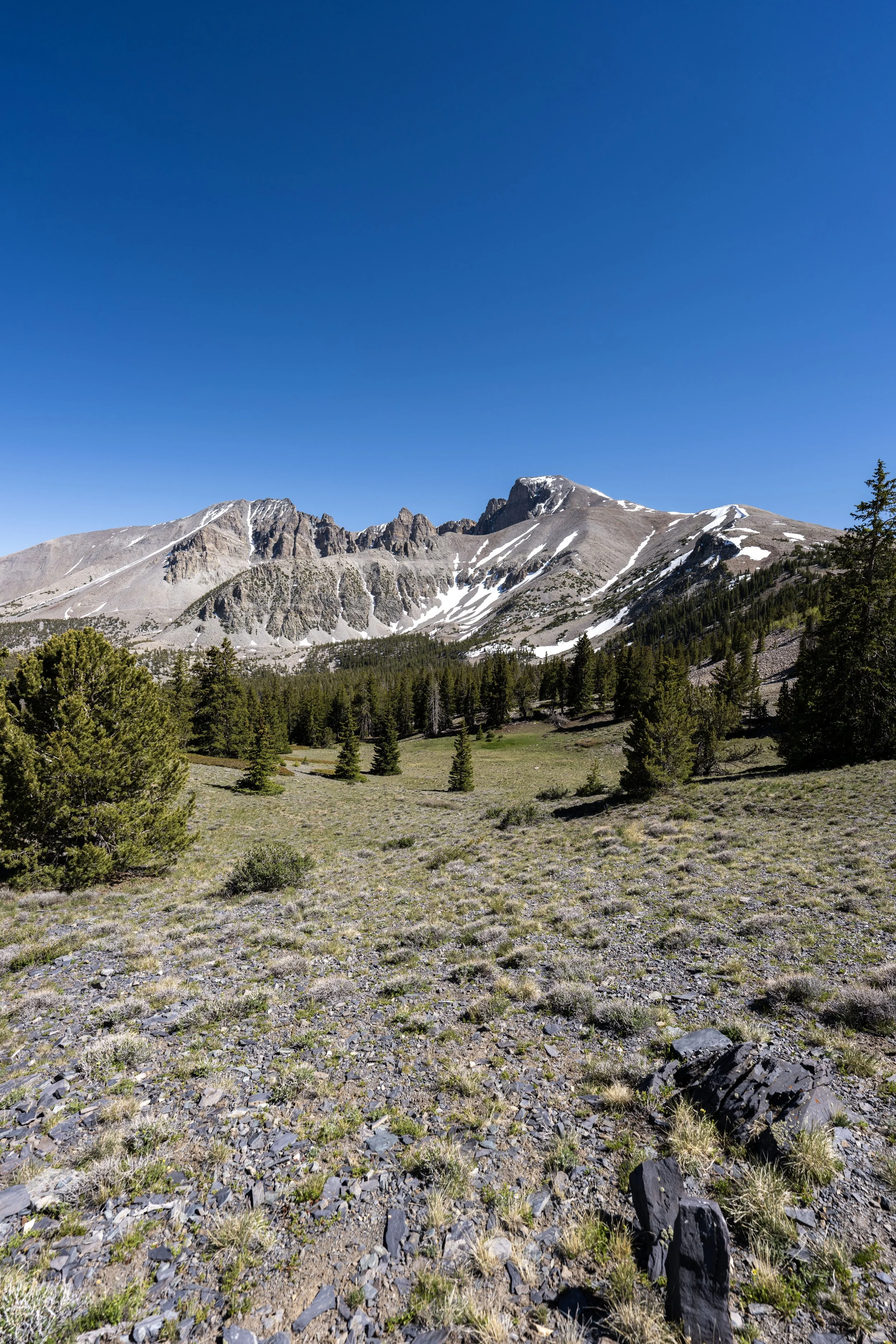 Hiking the Wheeler Peak Summit Trail in Great Basin National Park