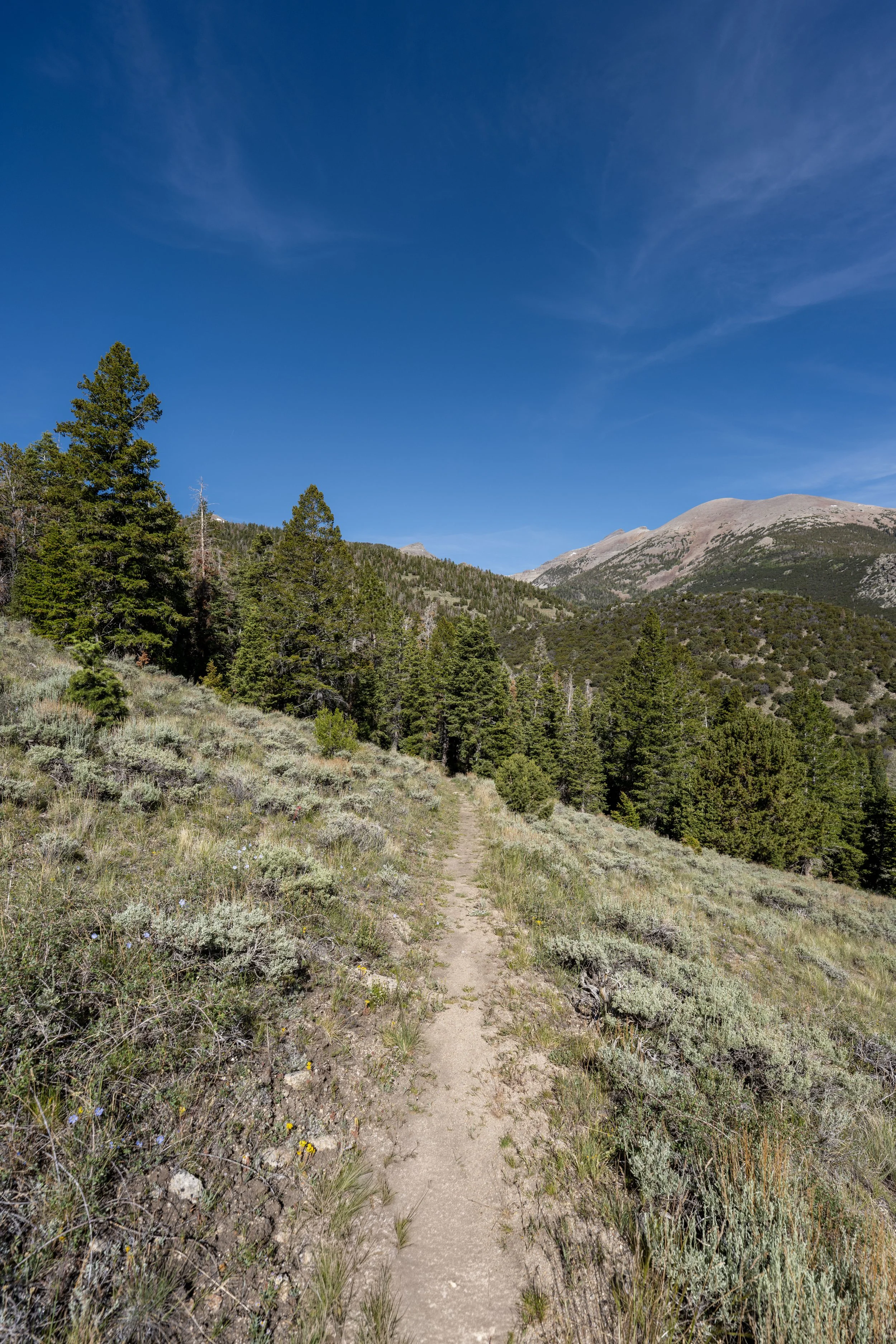 Pole Canyon Loop