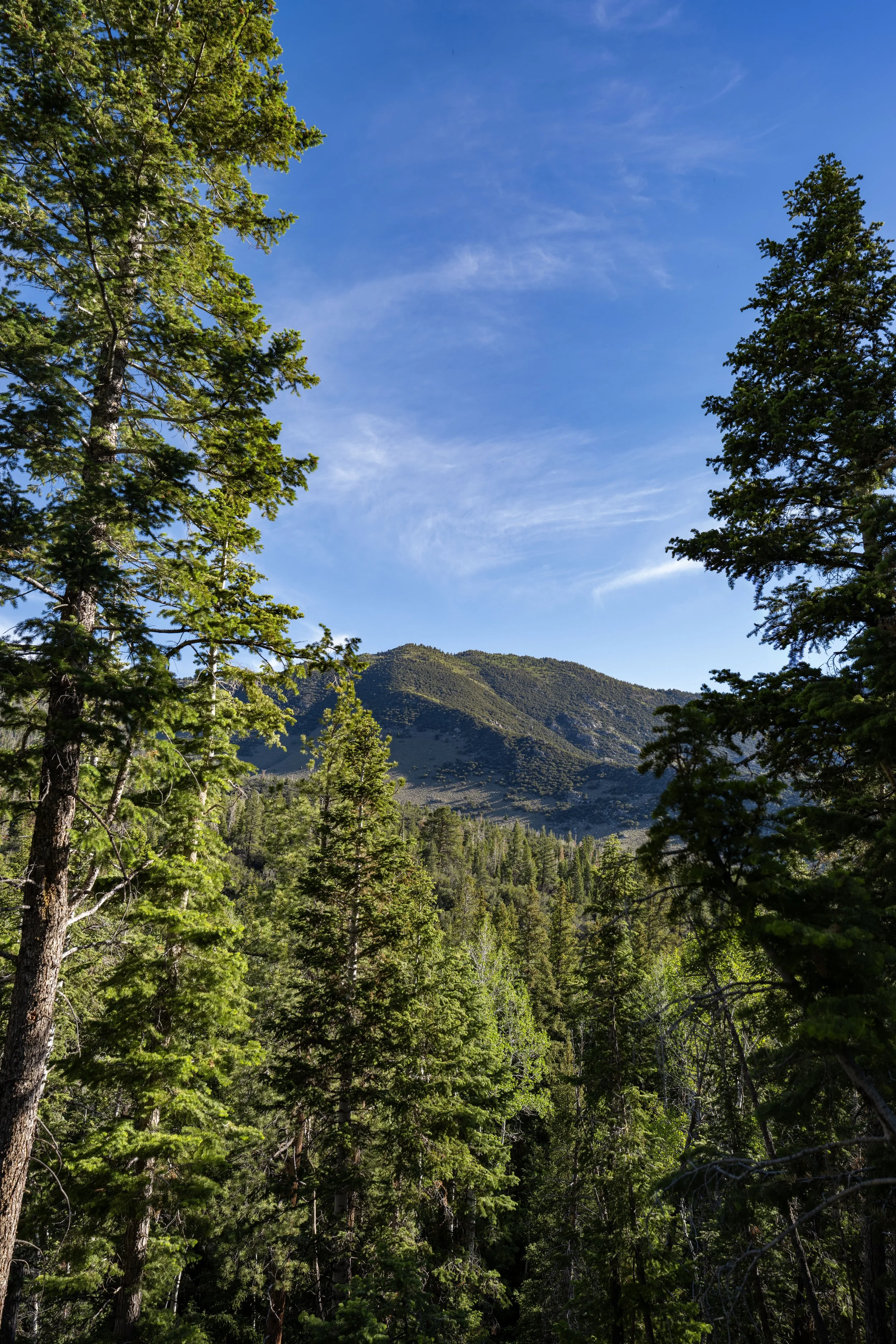 Hiking the Snake Creek Overlook Trail in Great Basin National Park