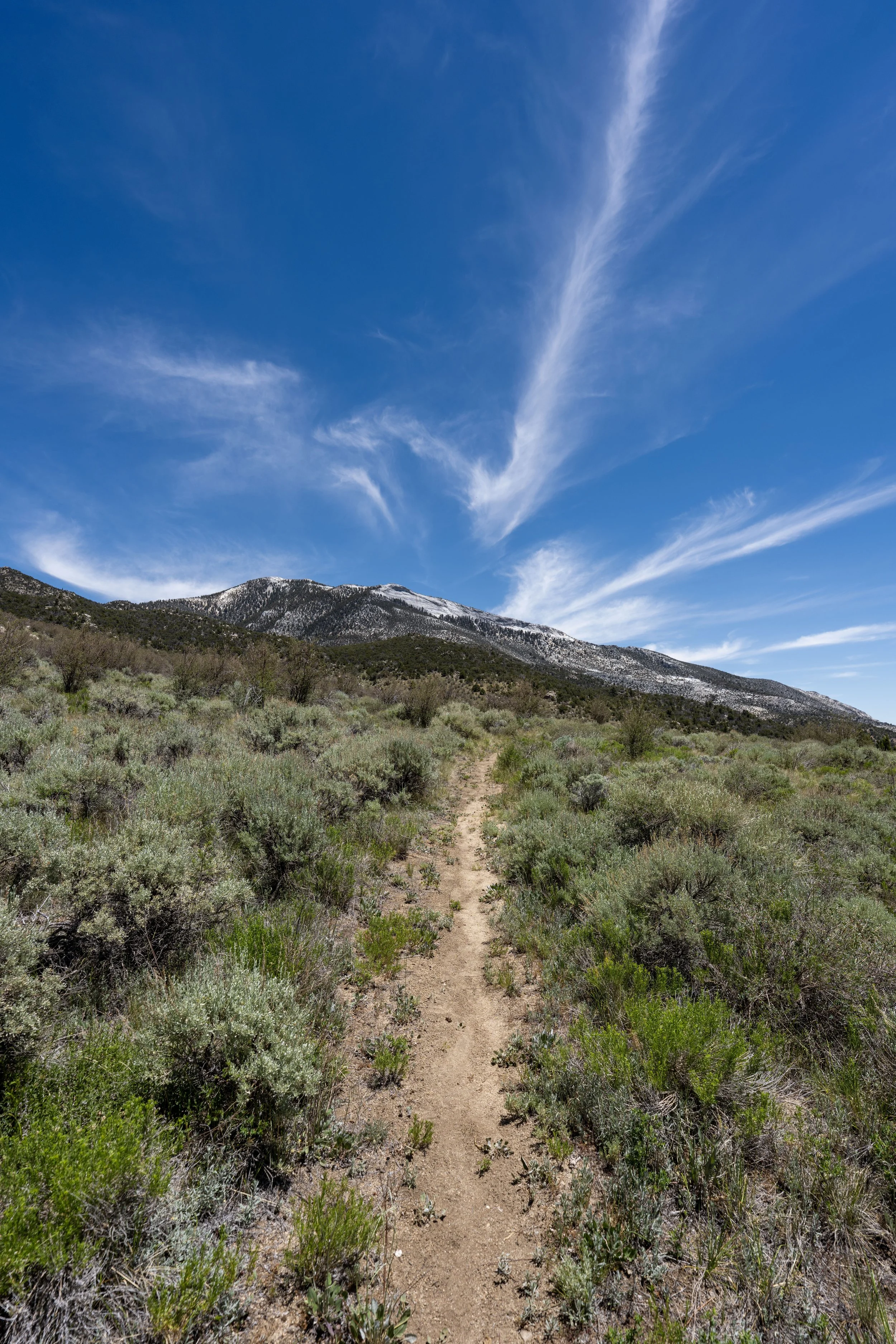 Hiking the Serviceberry Loop Trail in Great Basin National Park