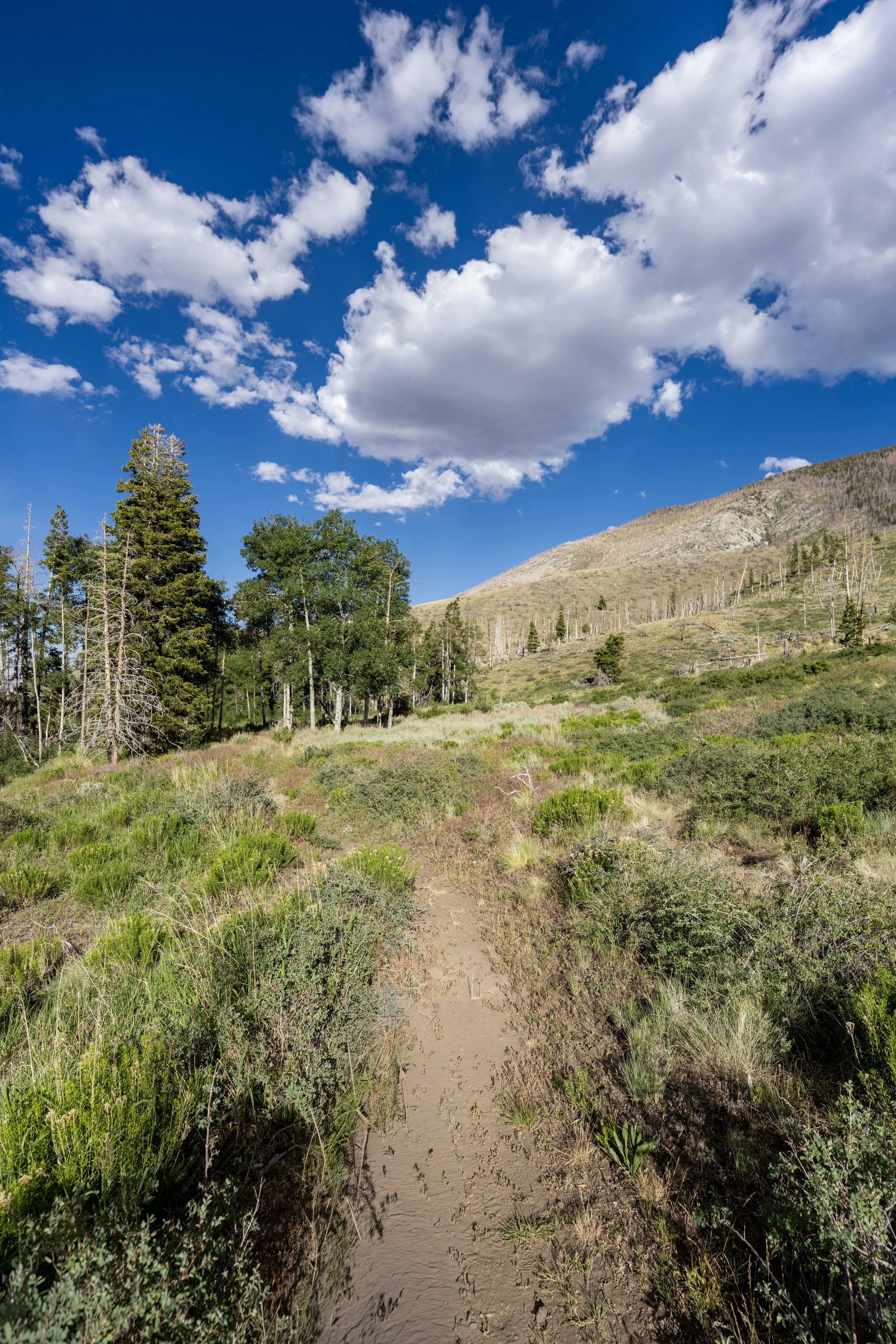 Hiking the Sage Steppe Loop Trail in Great Basin National Park