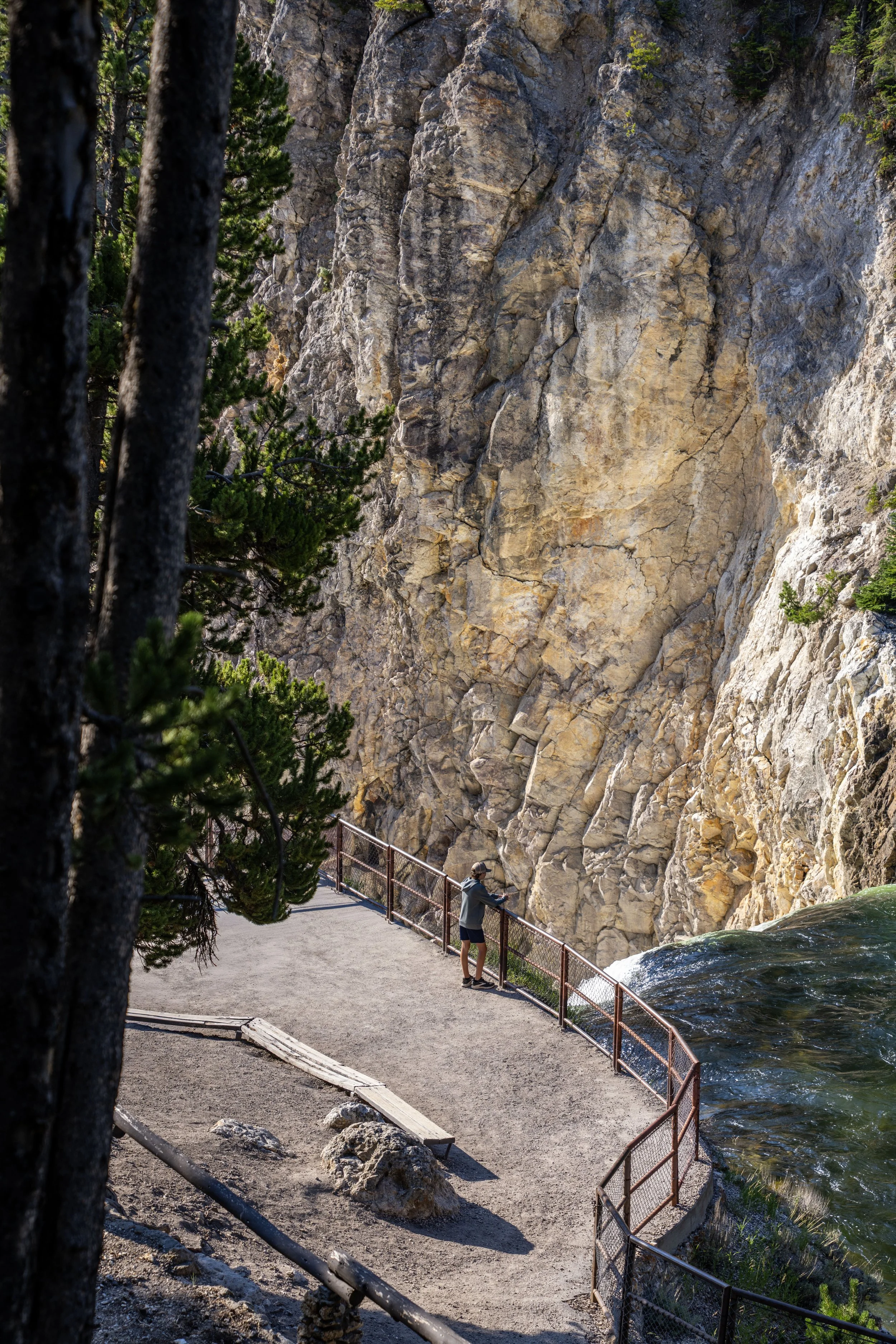 Hiking the Brink of the Lower Falls Trail in Yellowstone National Park