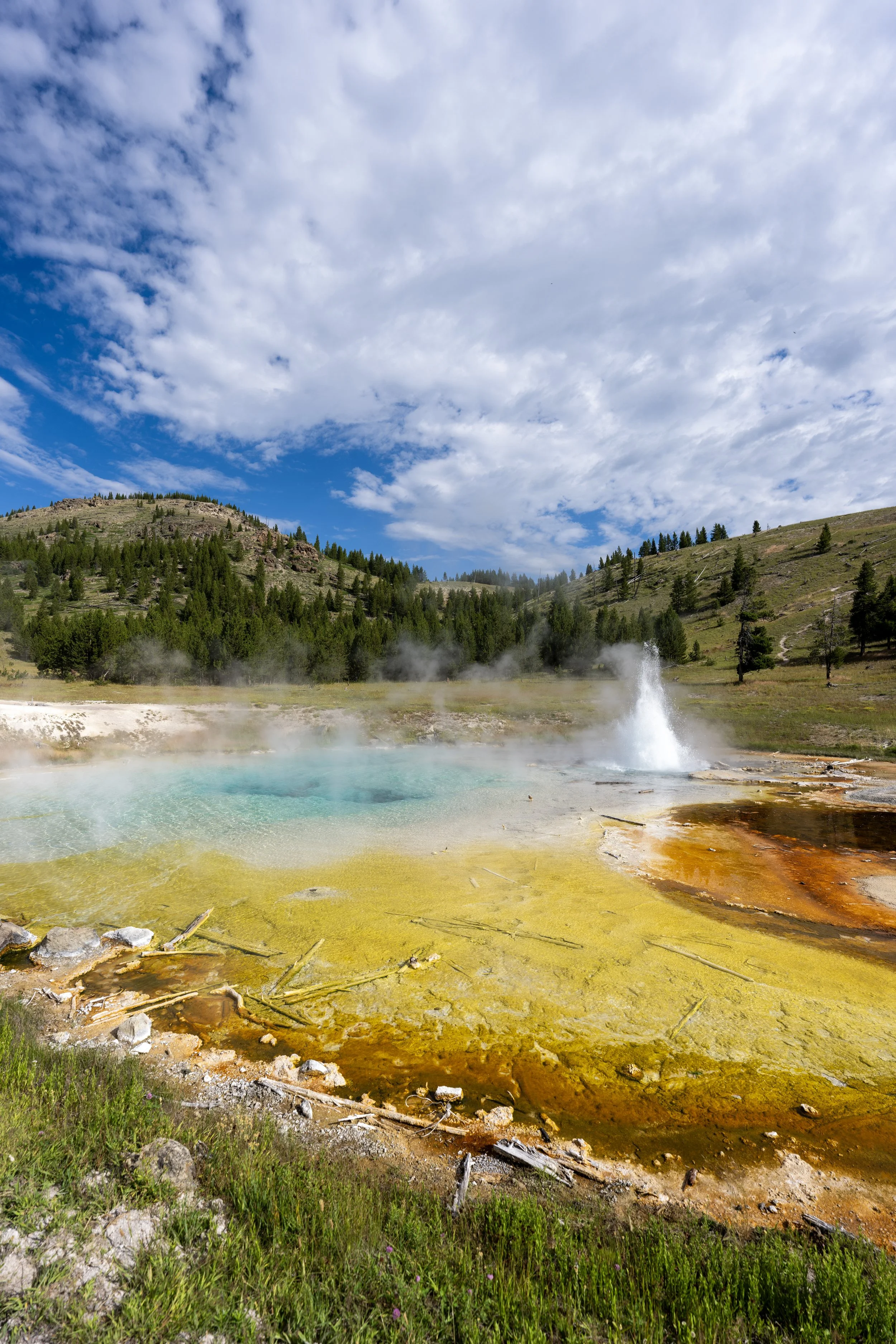 Imperial Geyser