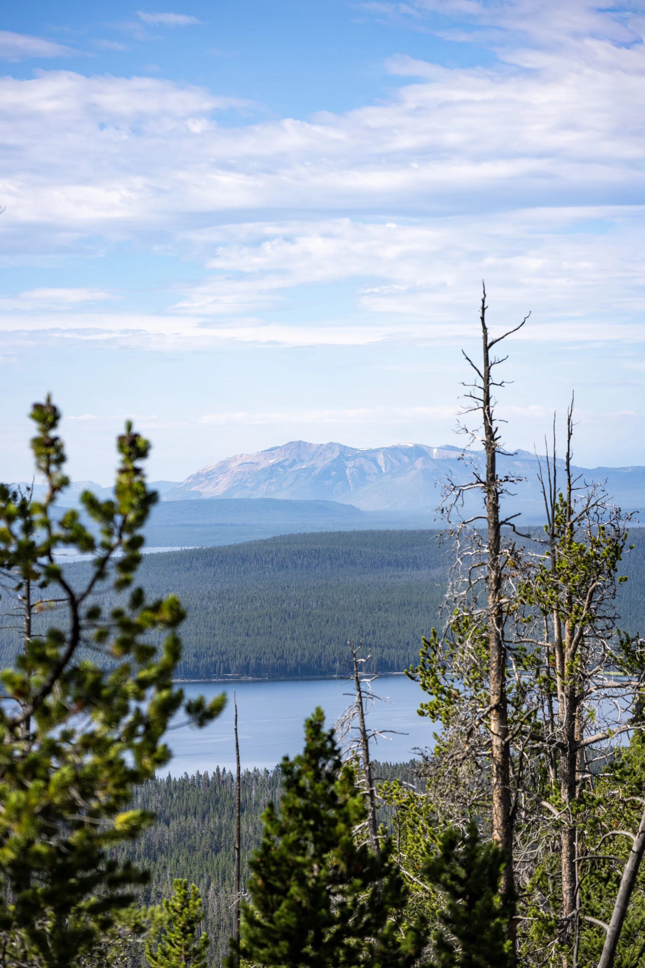 Hiking the Elephant Back Mountain Trail in Yellowstone National Park