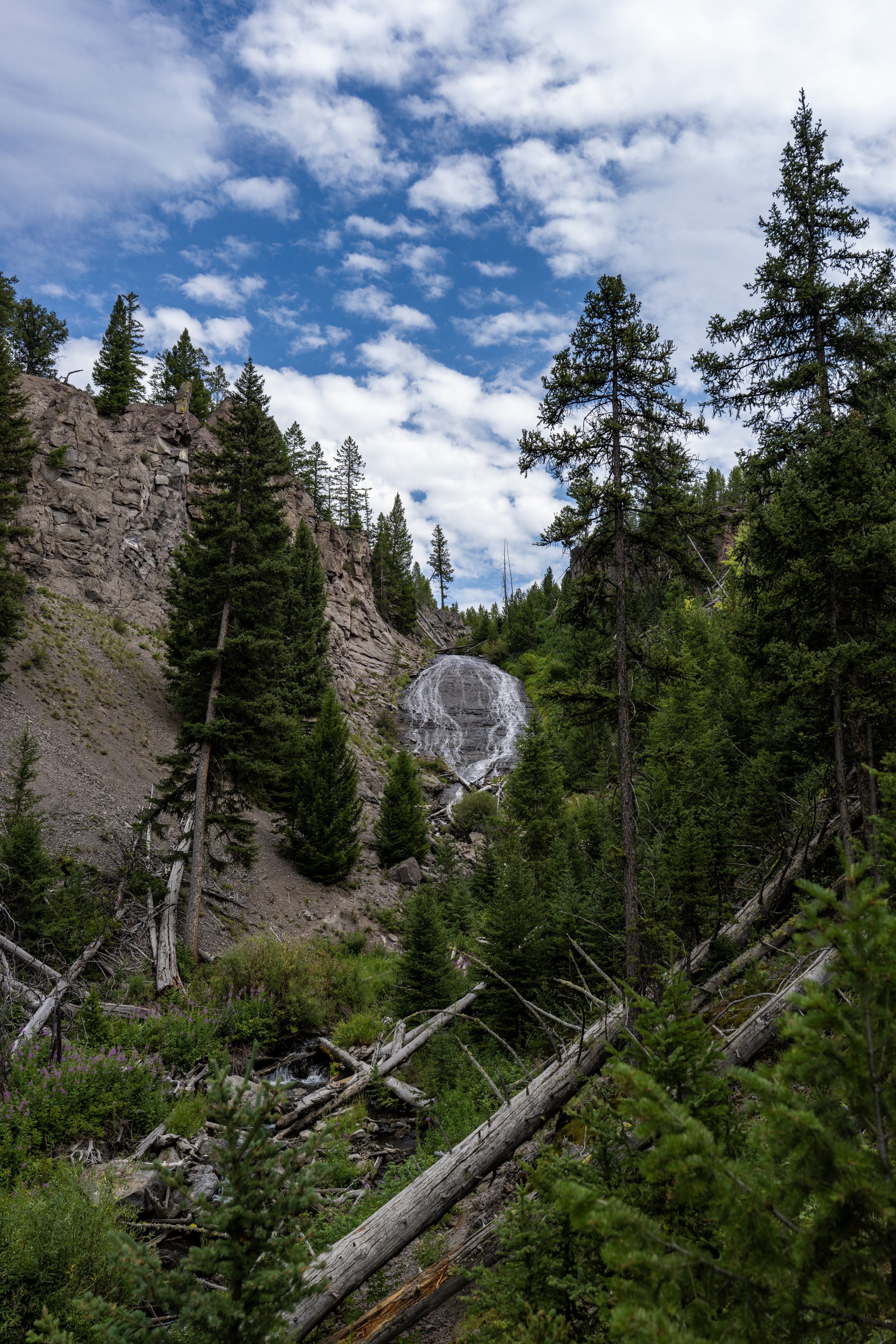Hiking the Wraith Falls Trail in Yellowstone National Park