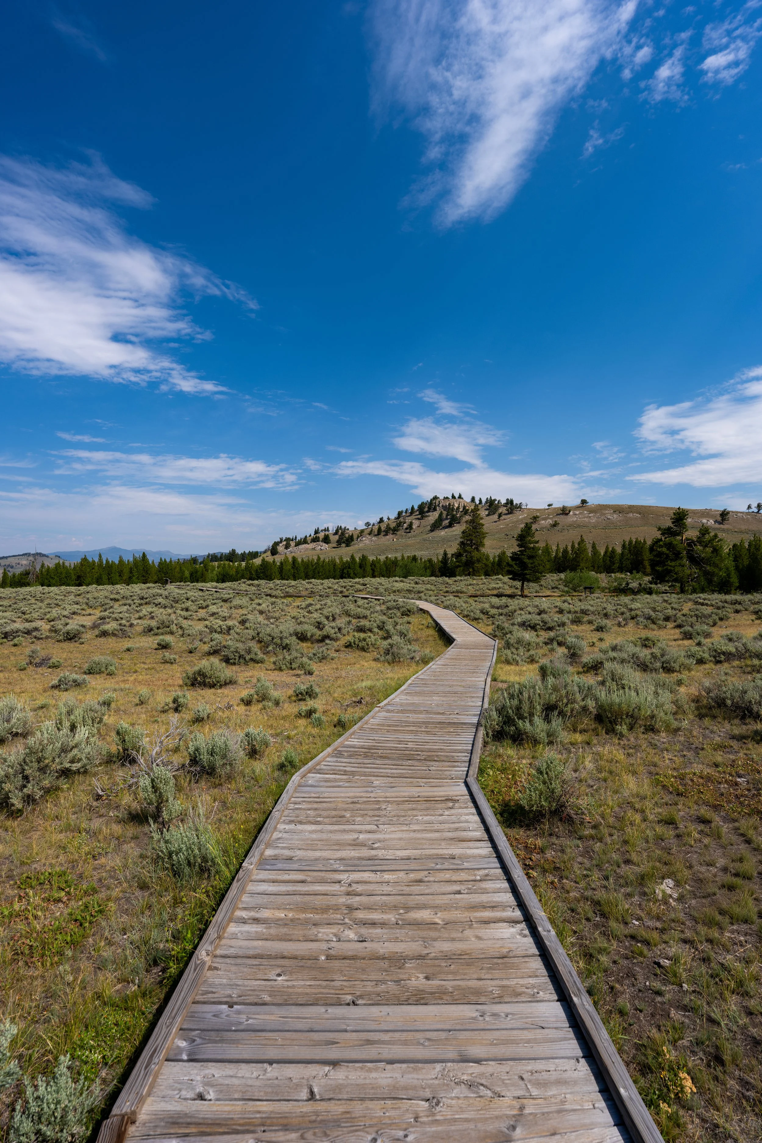 Hiking the Forces of the Northern Range Trail in Yellowstone National Park