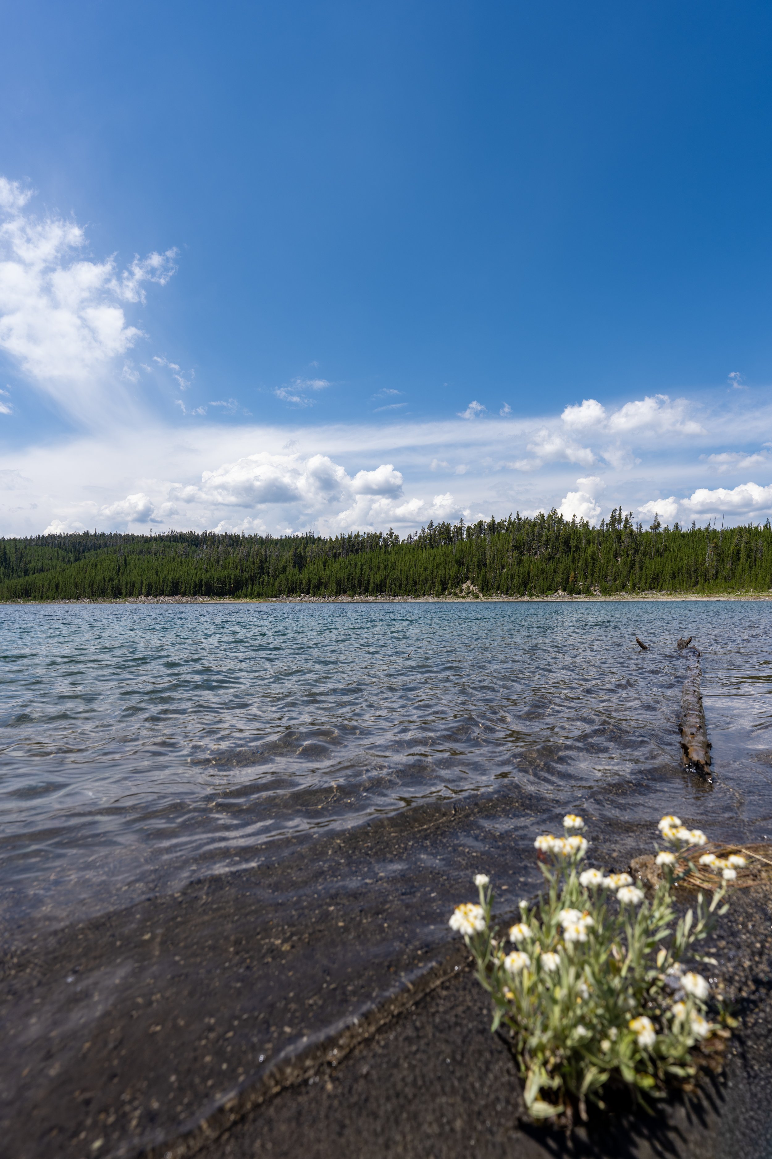 Hiking the Duck Lake Trail in Yellowstone National Park