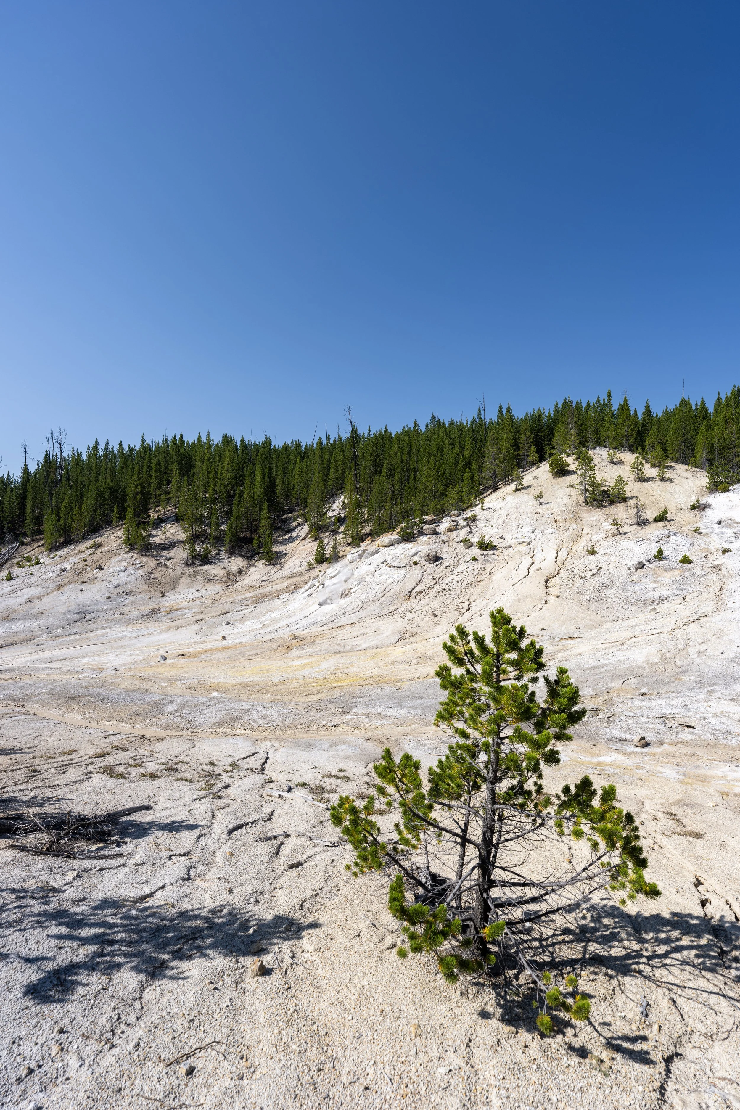 Hiking the Monument Geyser Basin Trail in Yellowstone National Park