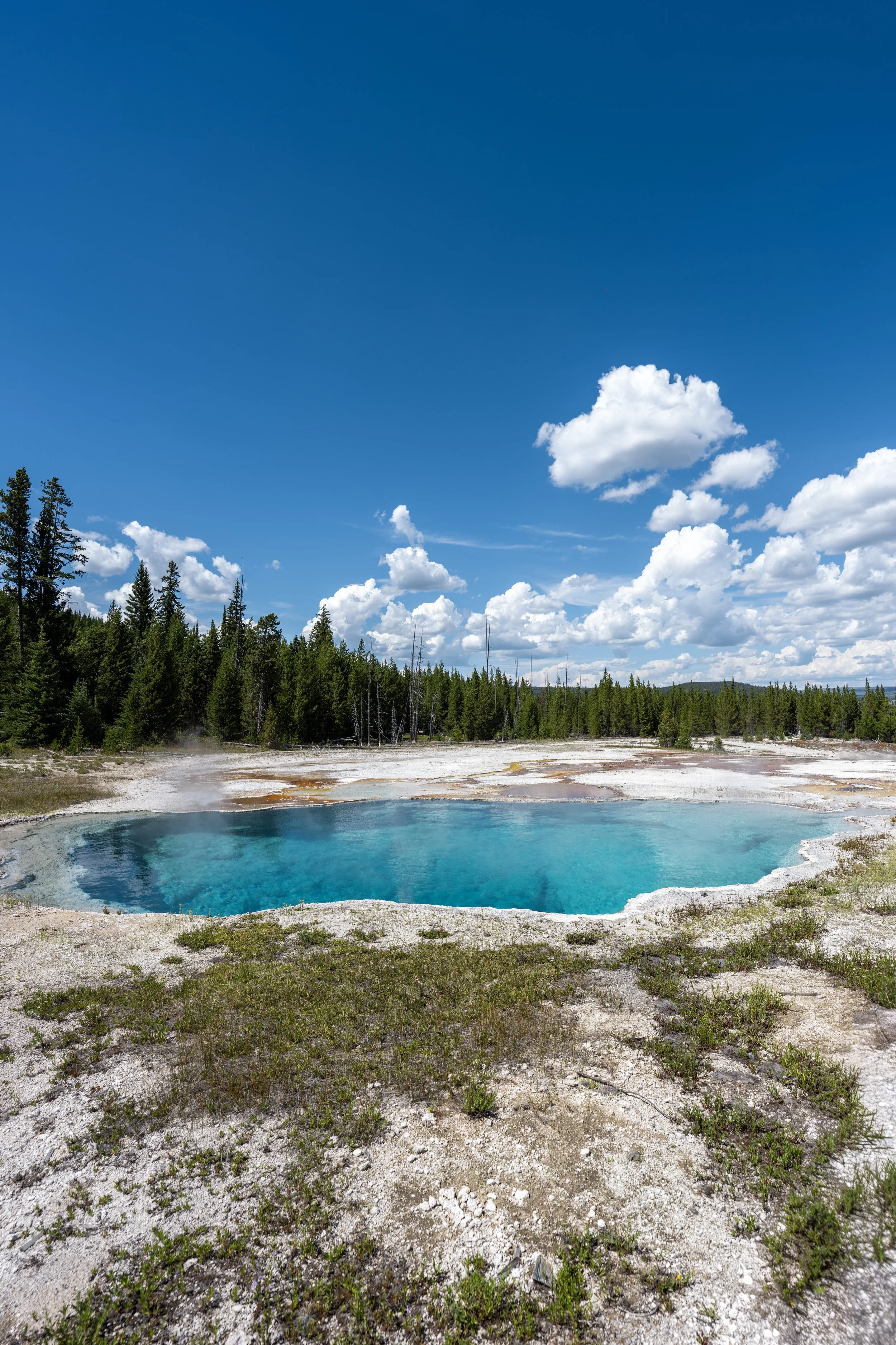 West Thumb Geyser Basin