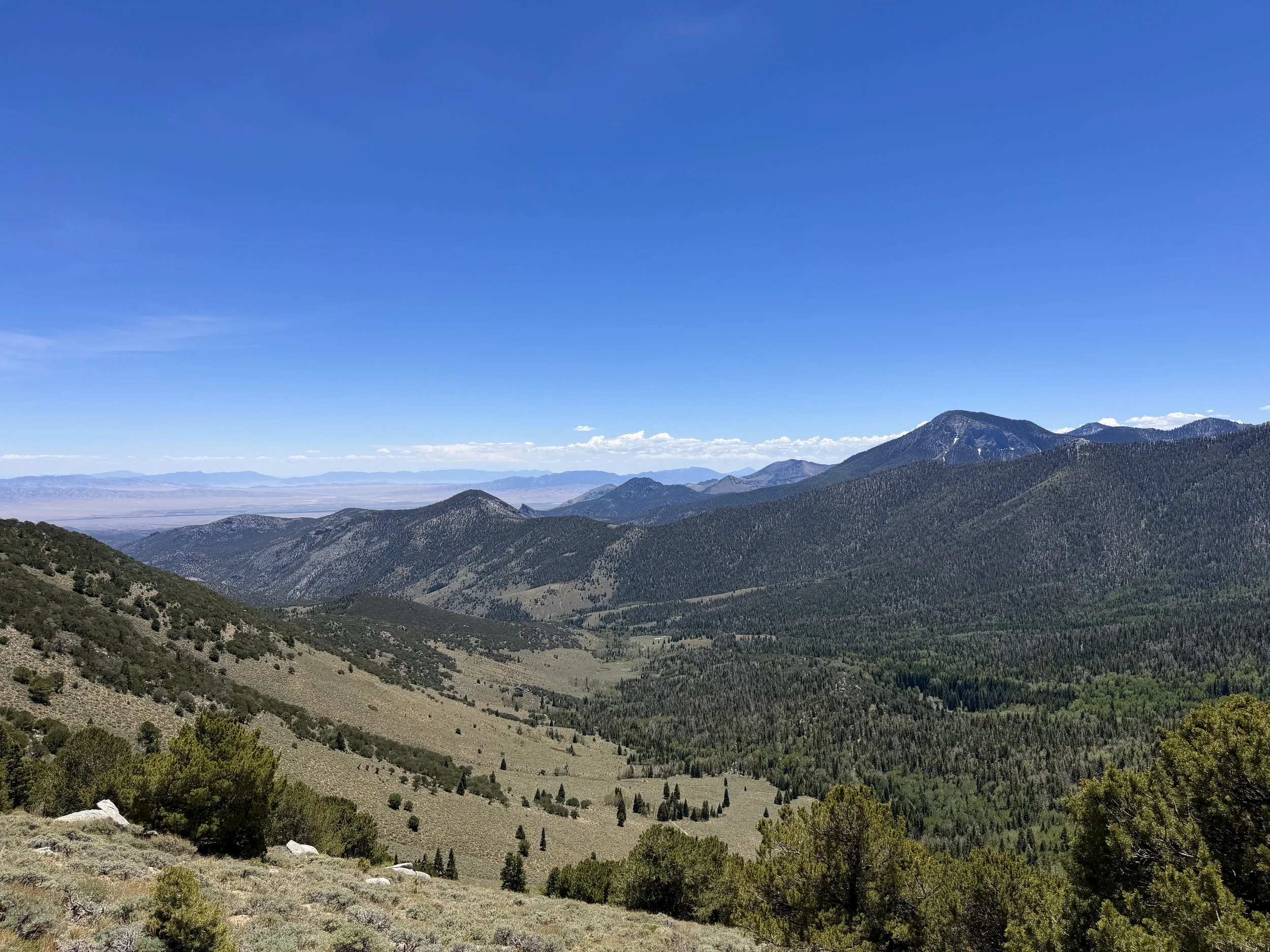 Timber Creek Trail to Johnson Lake Great Basin National Park Nevada