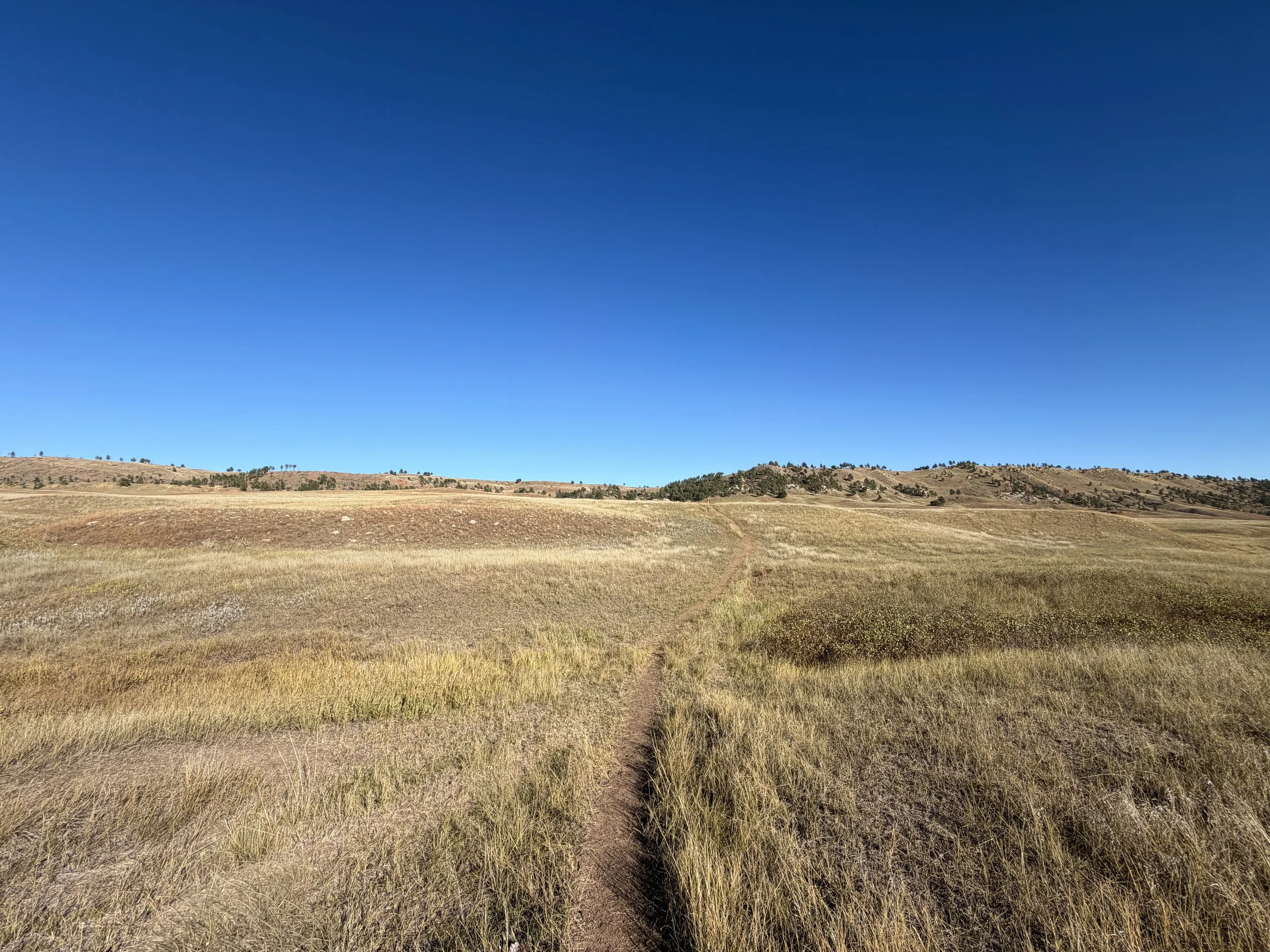 Boland Ridge Trail Wind Cave National Park South Dakota