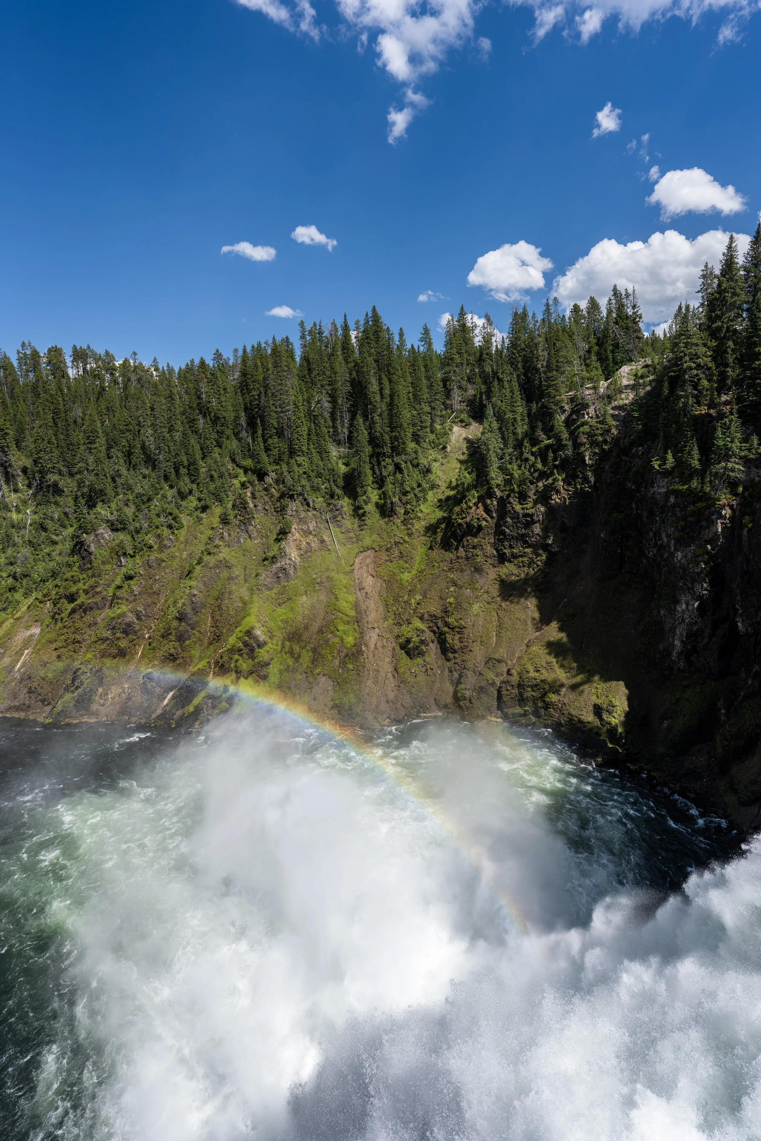 Hiking the North Rim Trail in Yellowstone National Park