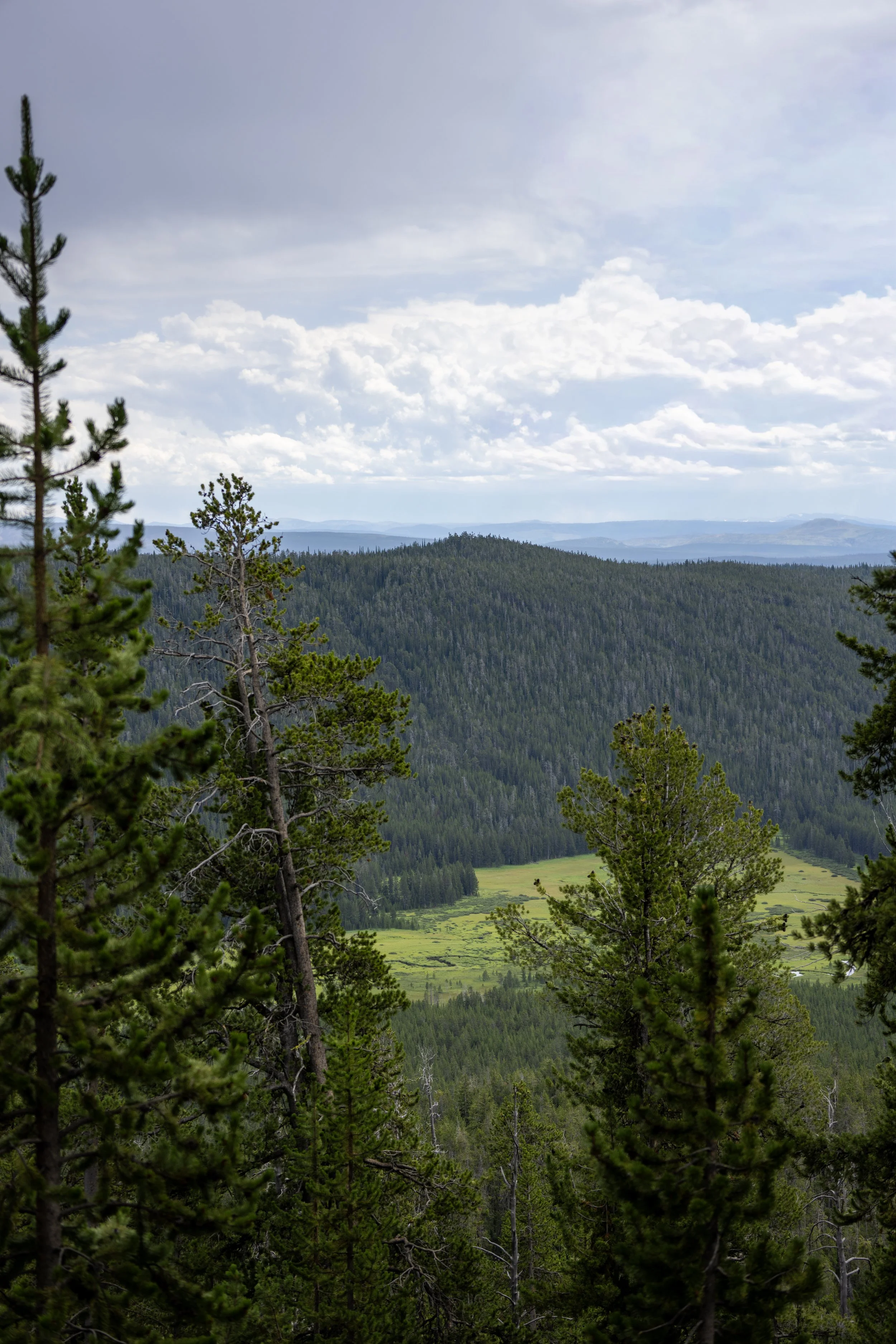 Hiking the Divide Trail in Yellowstone National Park