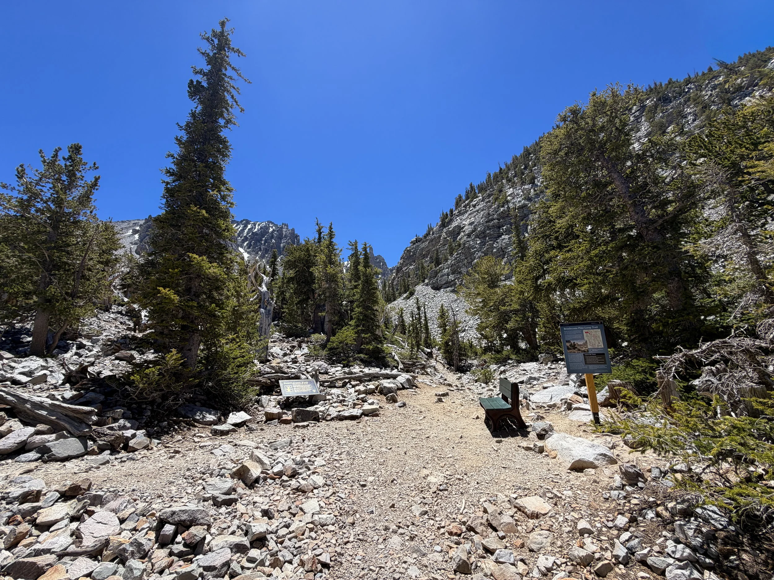 Bristlecone Loop Trail Great Basin National Park Nevada