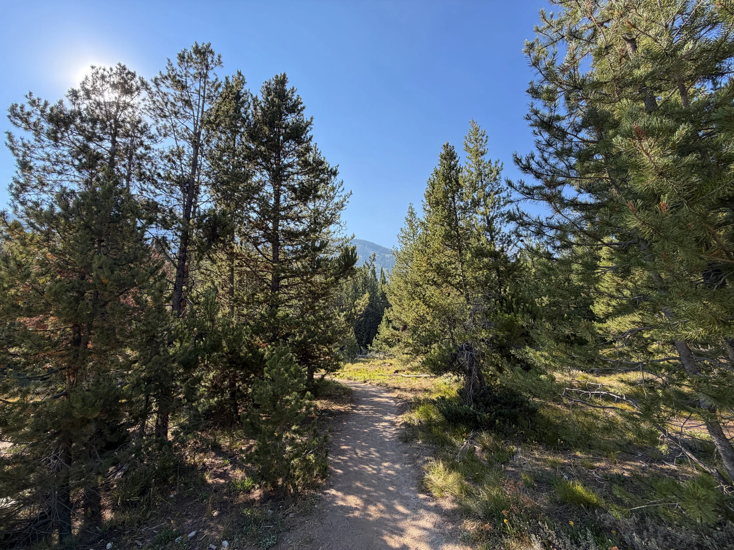 Moose Ponds Loop Trailhead Grand Teton National Park Wyoming