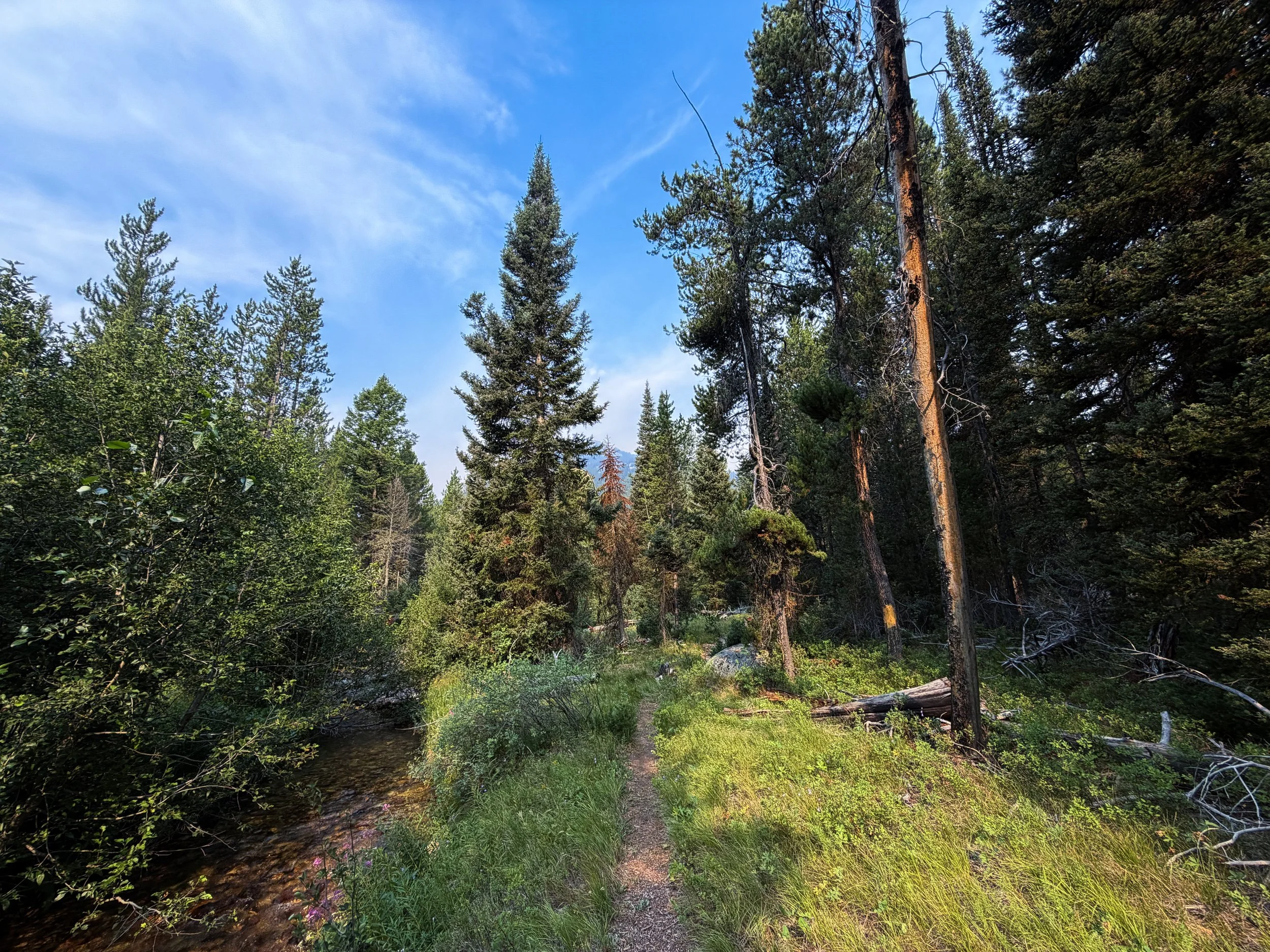 Boulder–Aspen Ridge Loop Trail Grand Teton National Park Wyoming