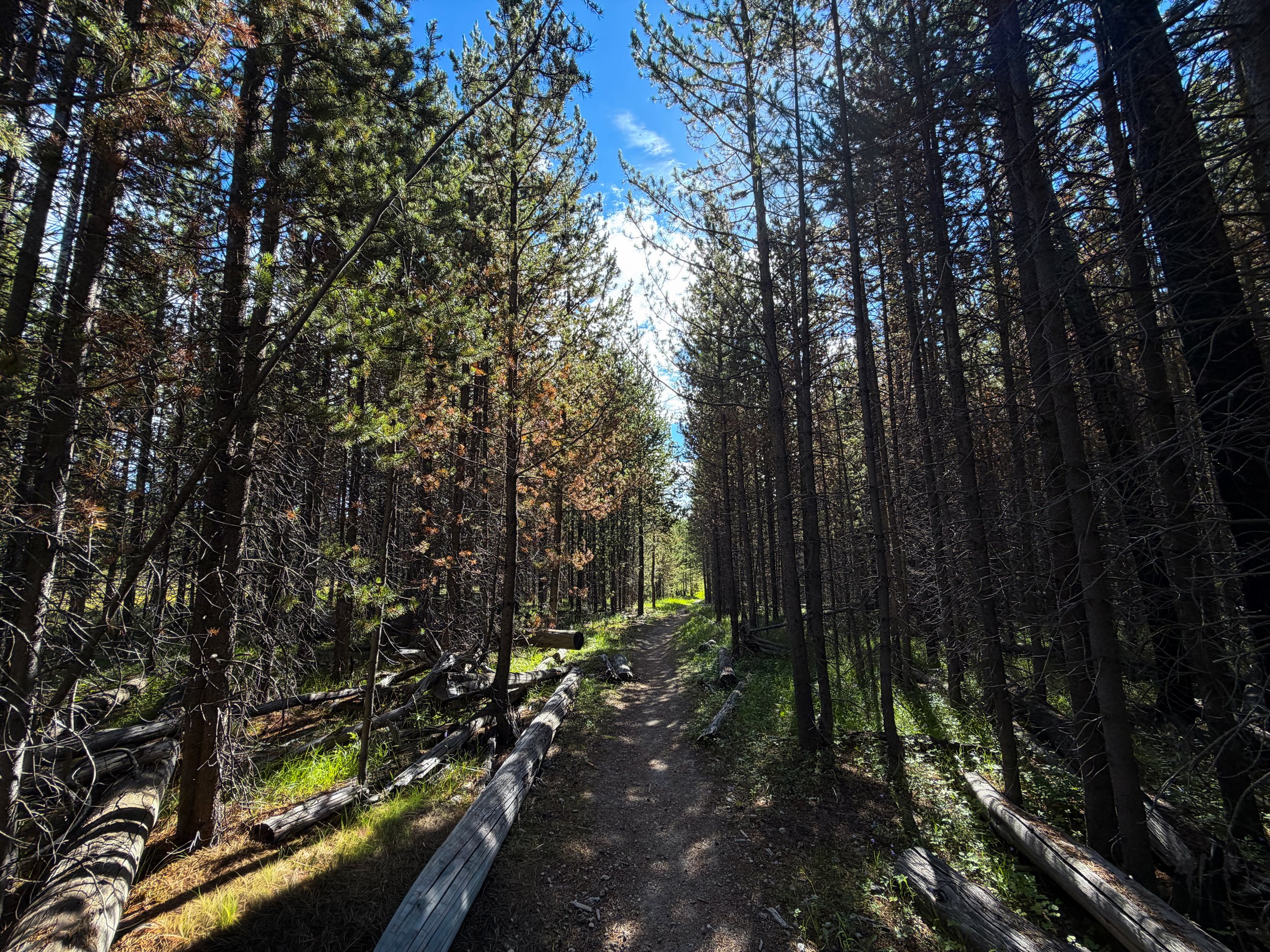 Imperial Geyser via Fairy Falls Trail Yellowstone National Park Wyoming