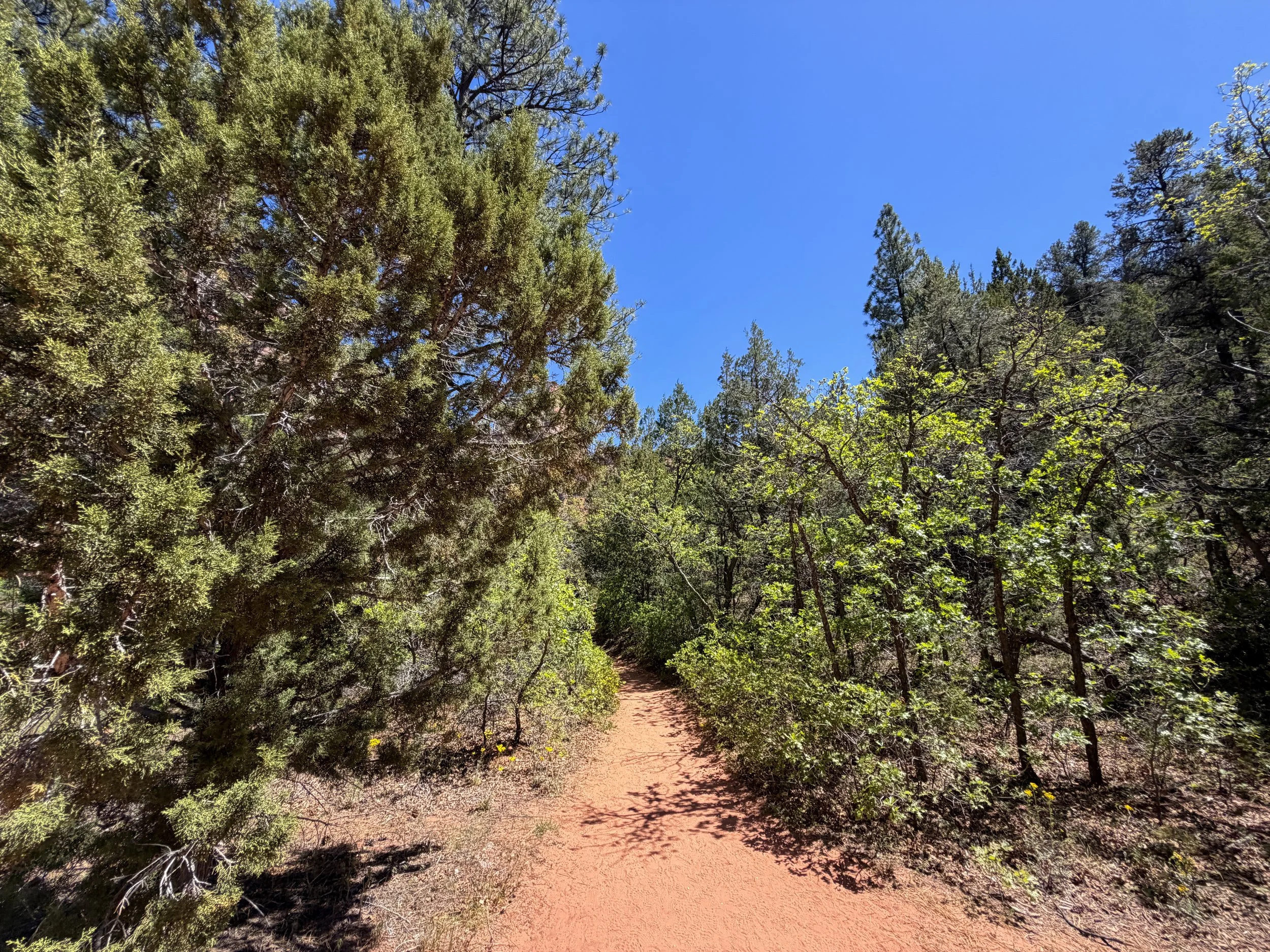 Middle Taylor Creek Hike Zion National Park Utah