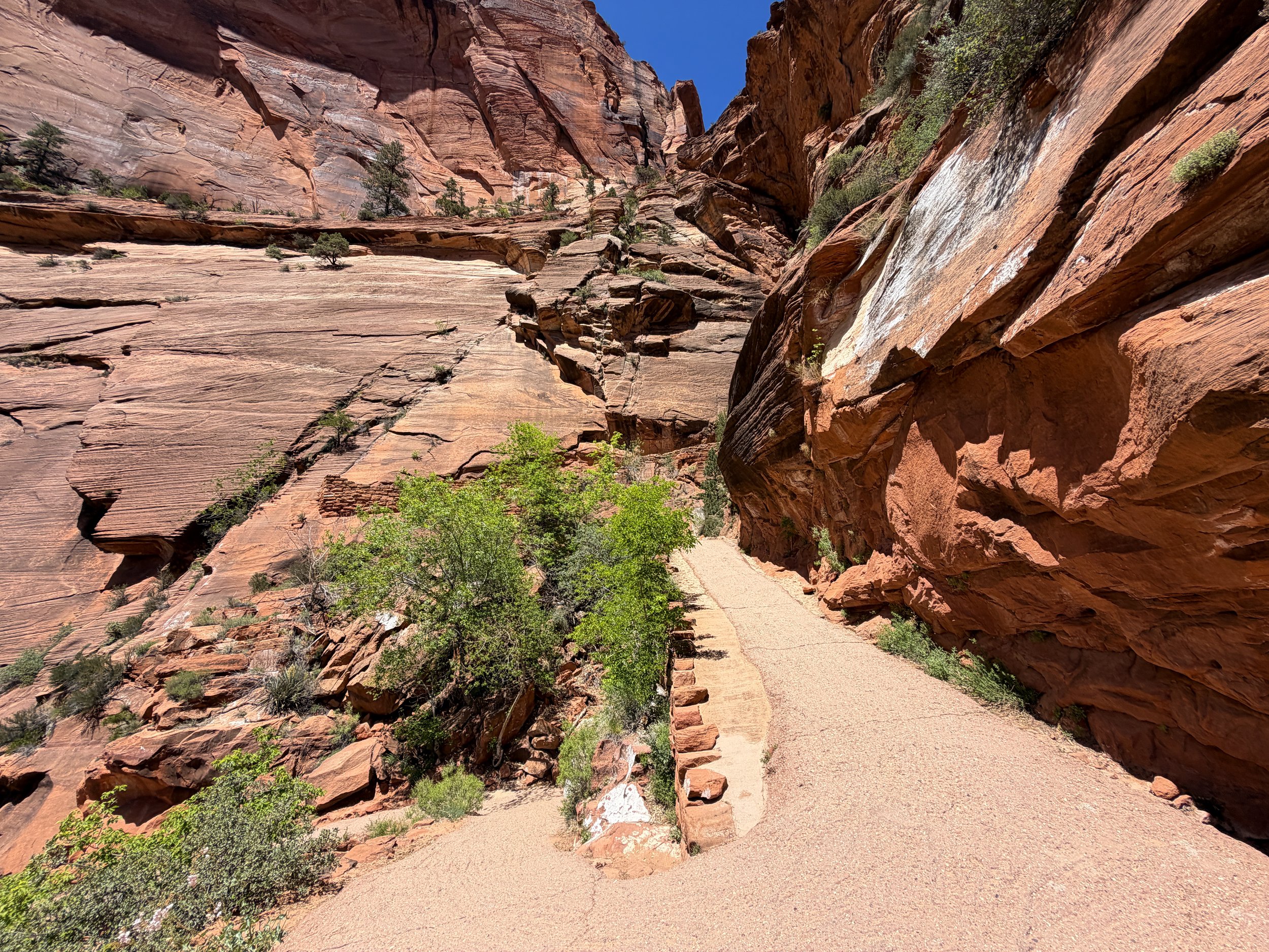 Angels Landing Trail Switchbacks Zion National Park Utah