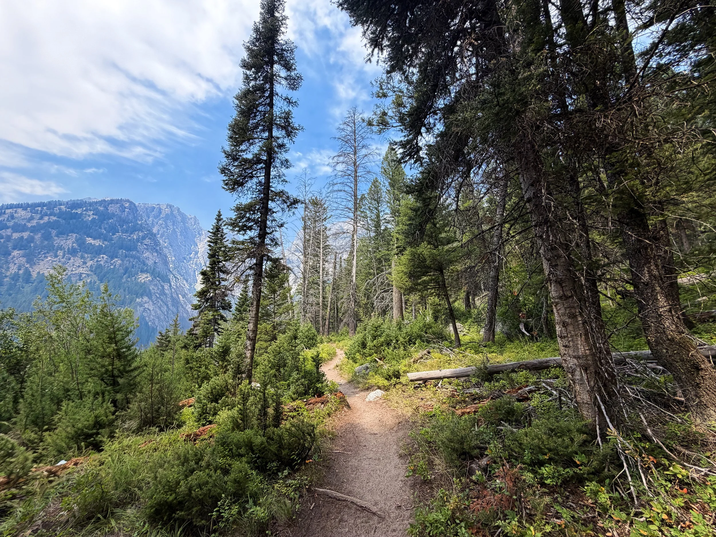 Phelps Lake Loop Trail Grand Teton National Park Wyoming