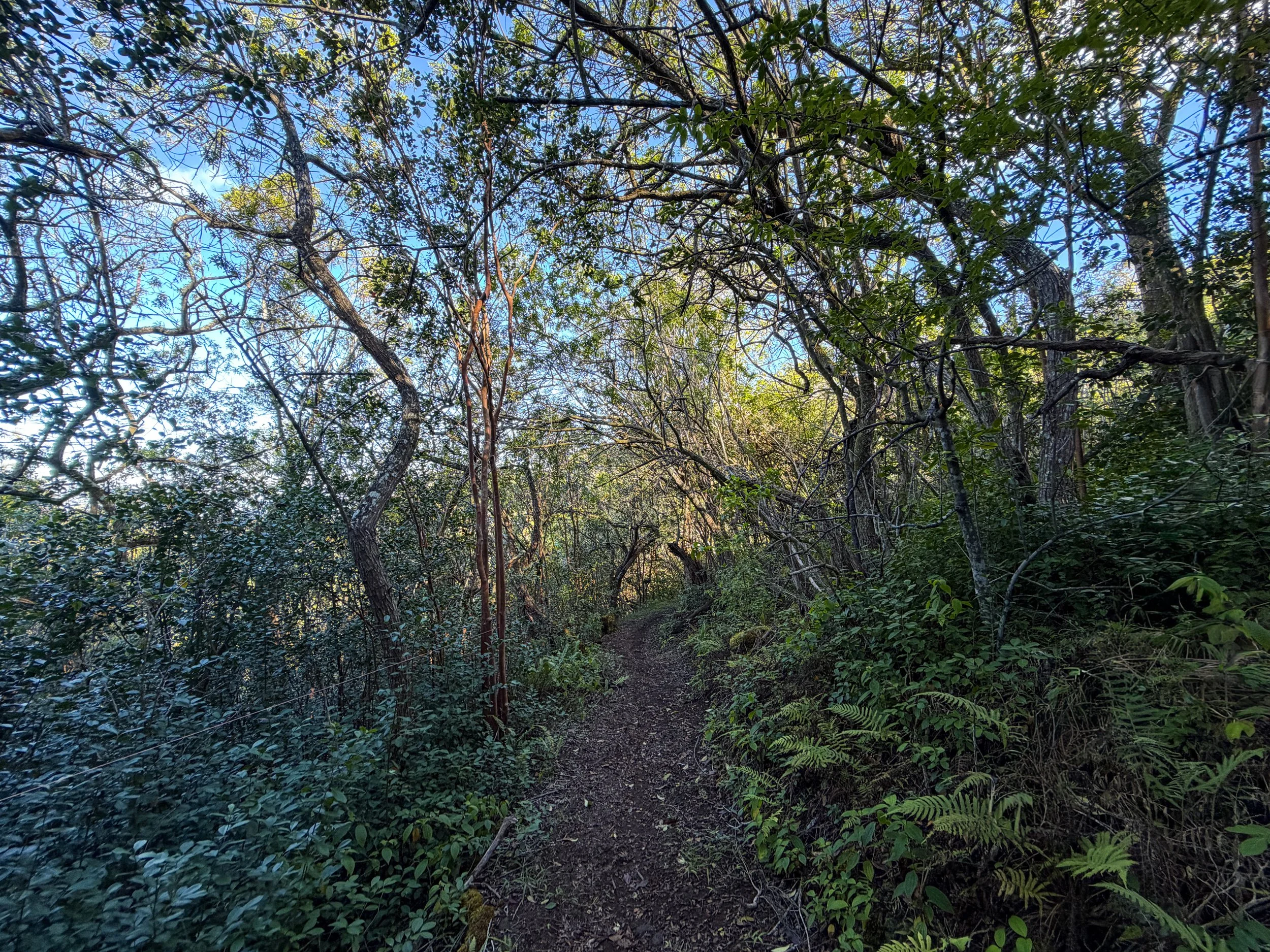 Mokuleia Trail Oahu Hawaii