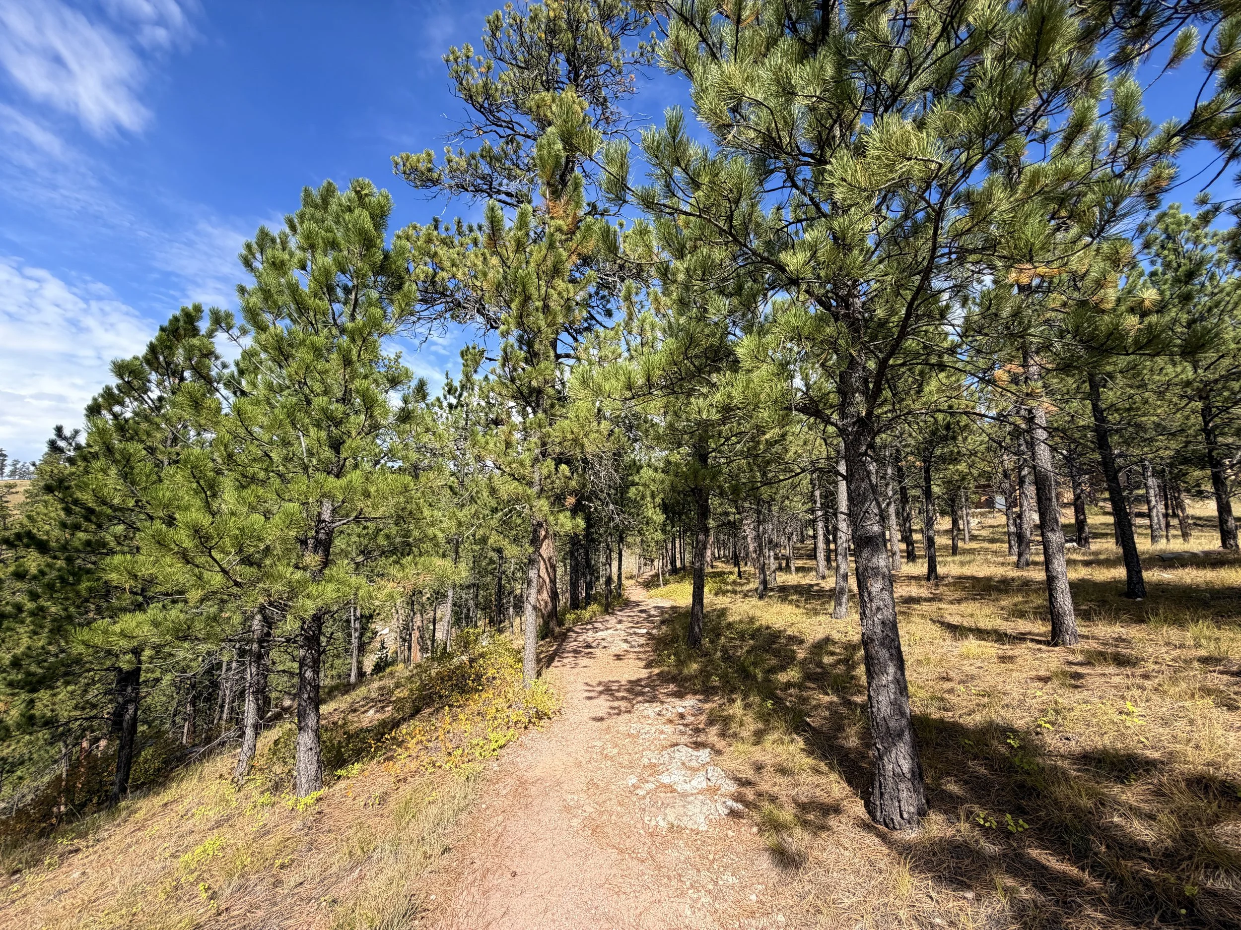 Canyons Trail Jewel Cave National Monument Black Hills South Dakota