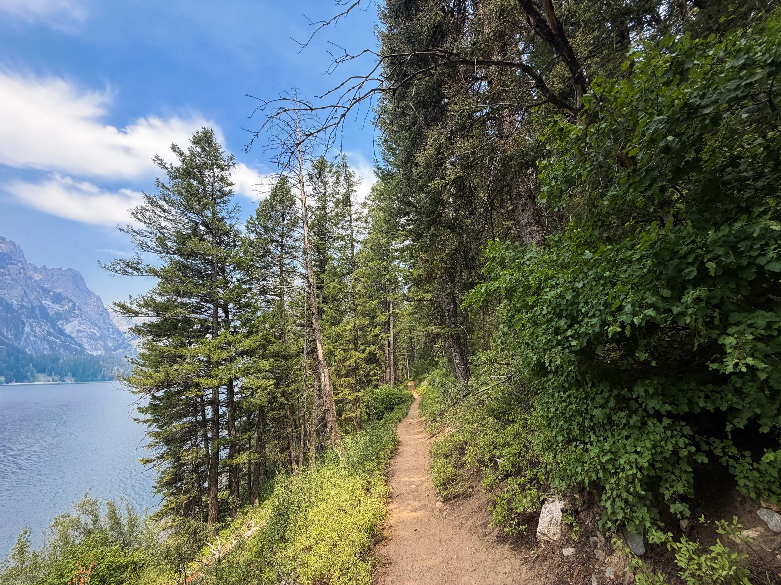 Phelps Lake Trail to Jumping Rock Grand Teton National Park Wyoming