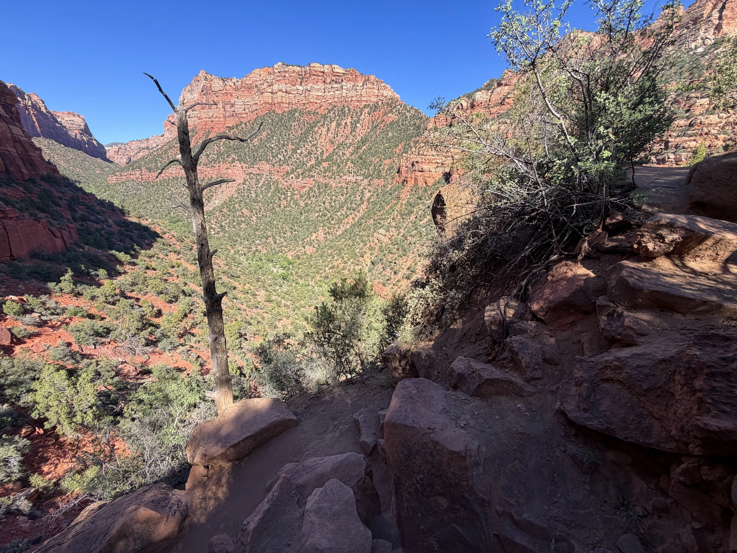 Left Fork Trail to the Subway Zion National Park Utah