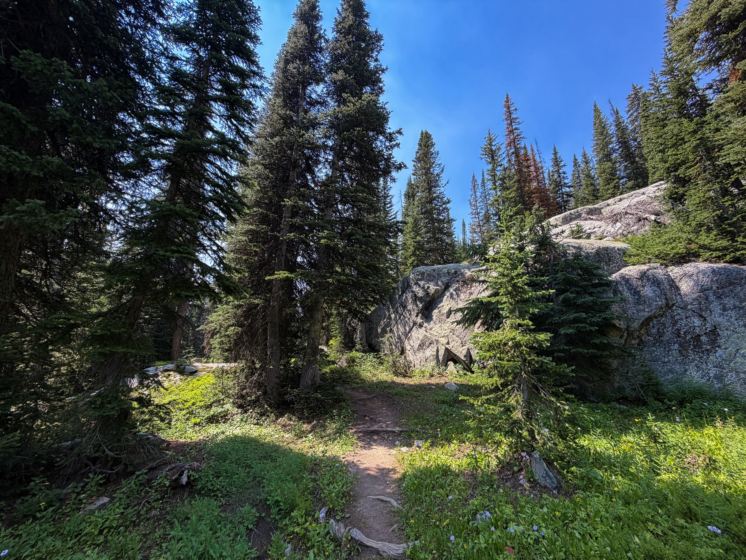 The Beaten Path Trail Beartooth Mountains Montana