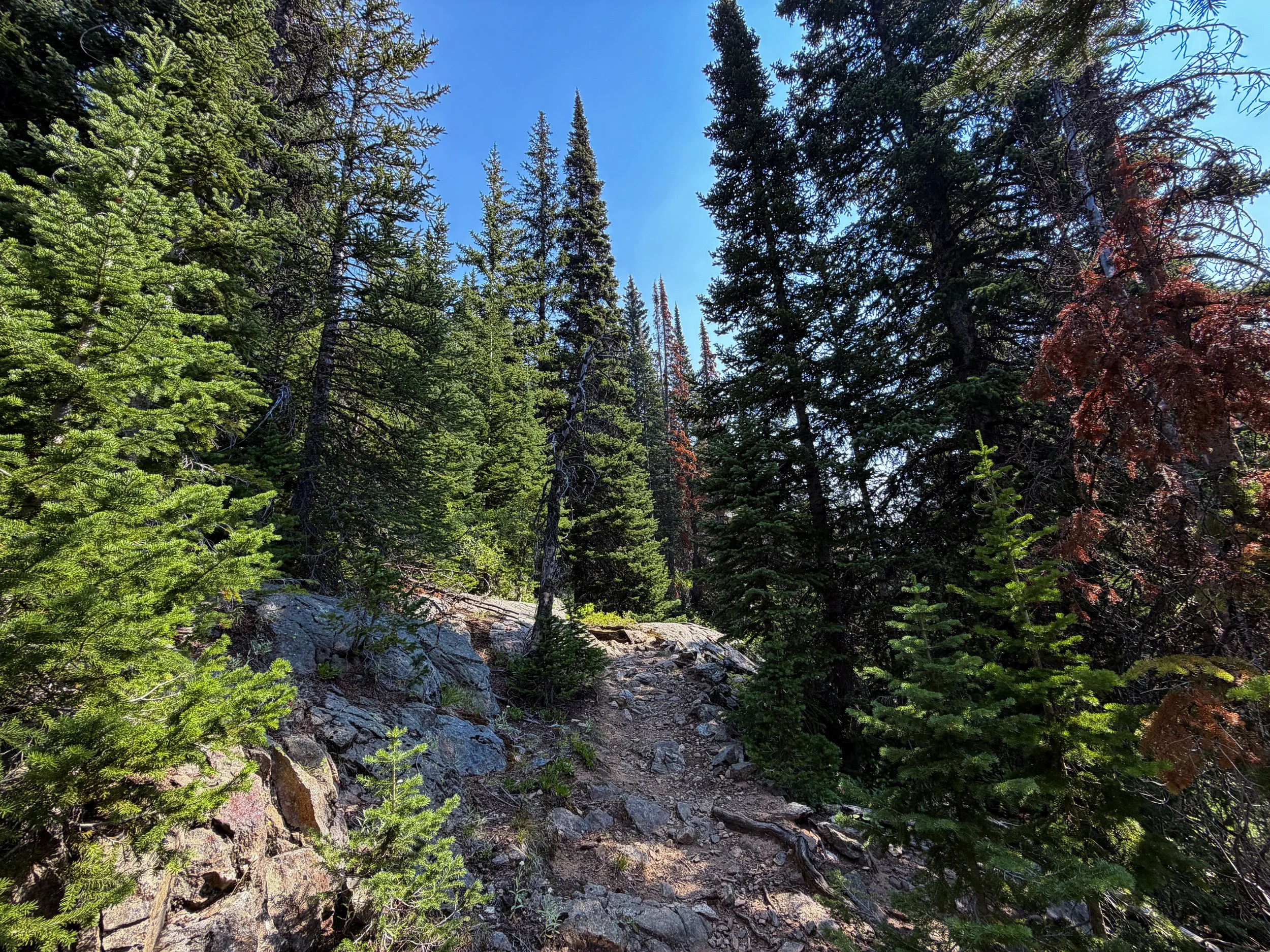 East Rosebud Trail The Beaten Path Beartooth Mountains Montana