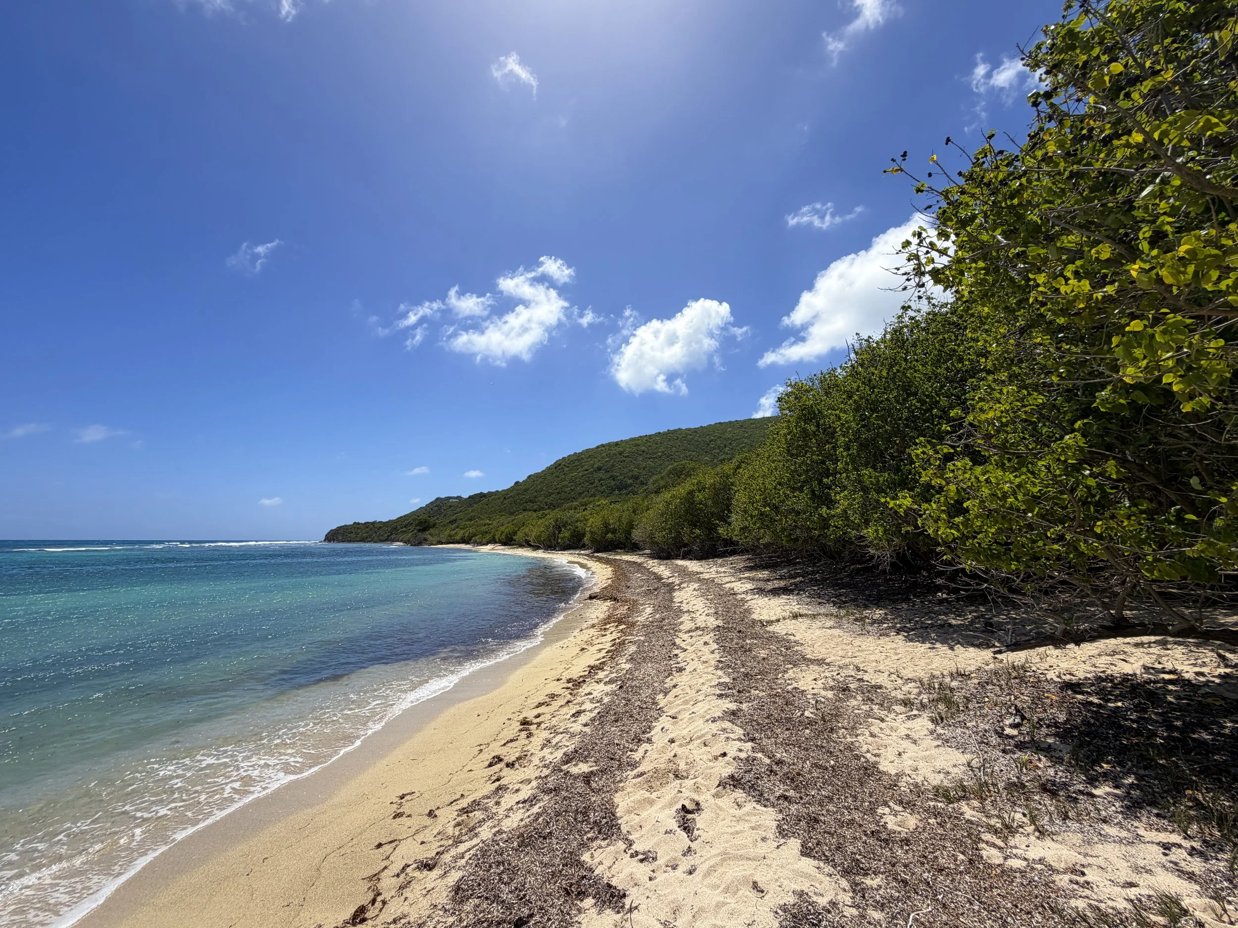 Genti Bay Beach LEsperance Trail Virgin Islands National Park