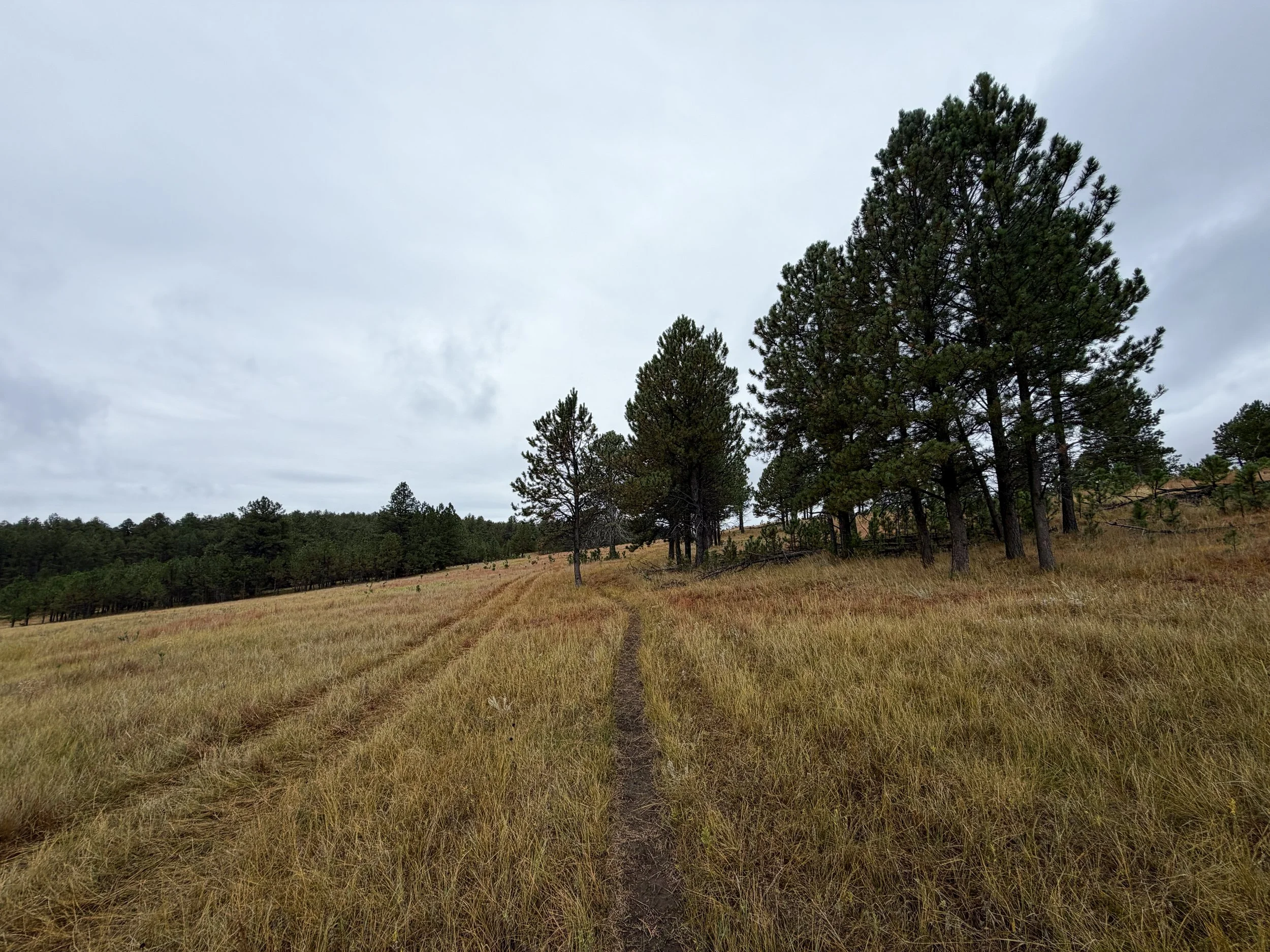 Highland Creek Hike Wind Cave National Park South Dakota