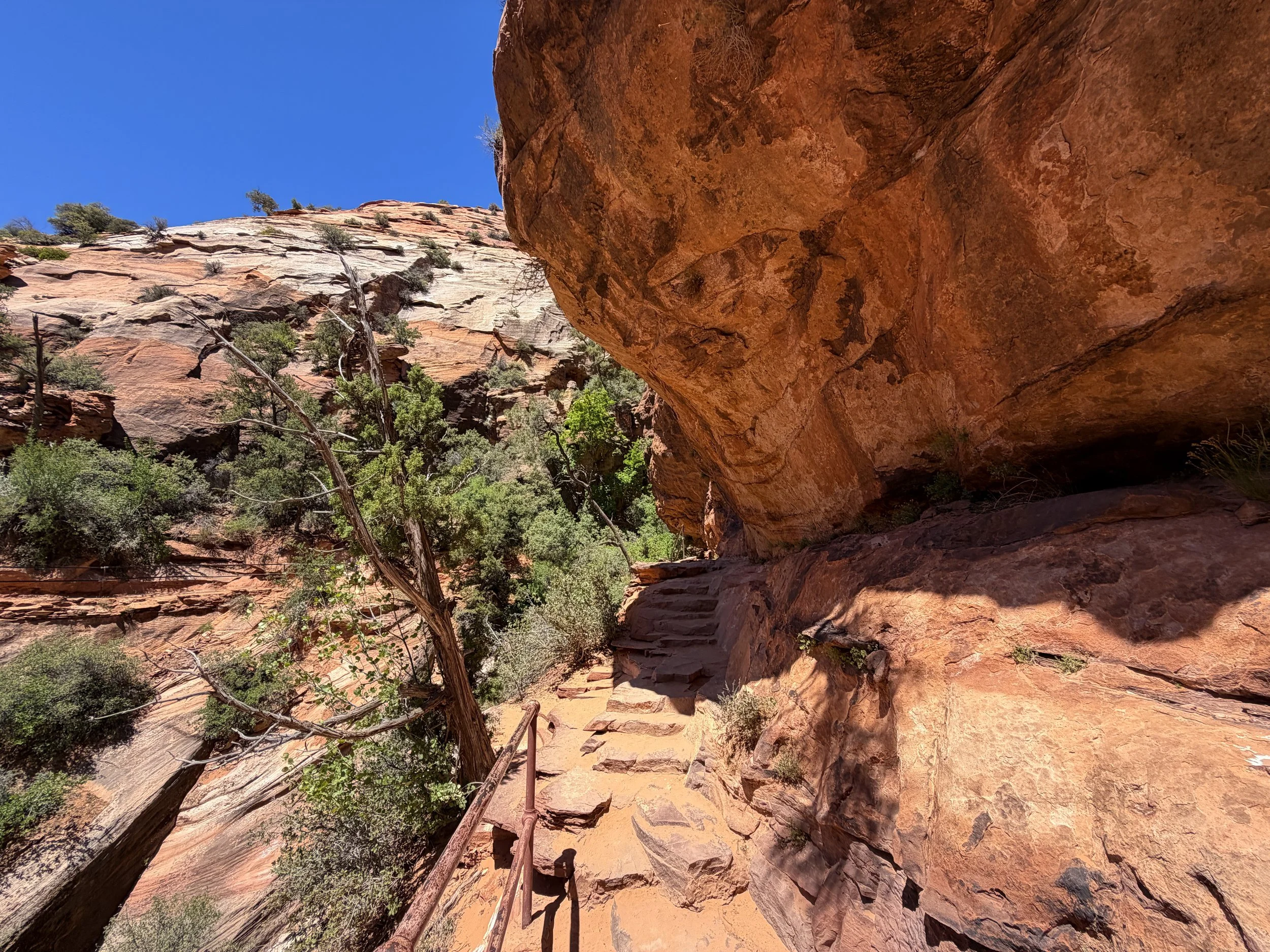Canyon Overlook Hike Zion National Park Utah