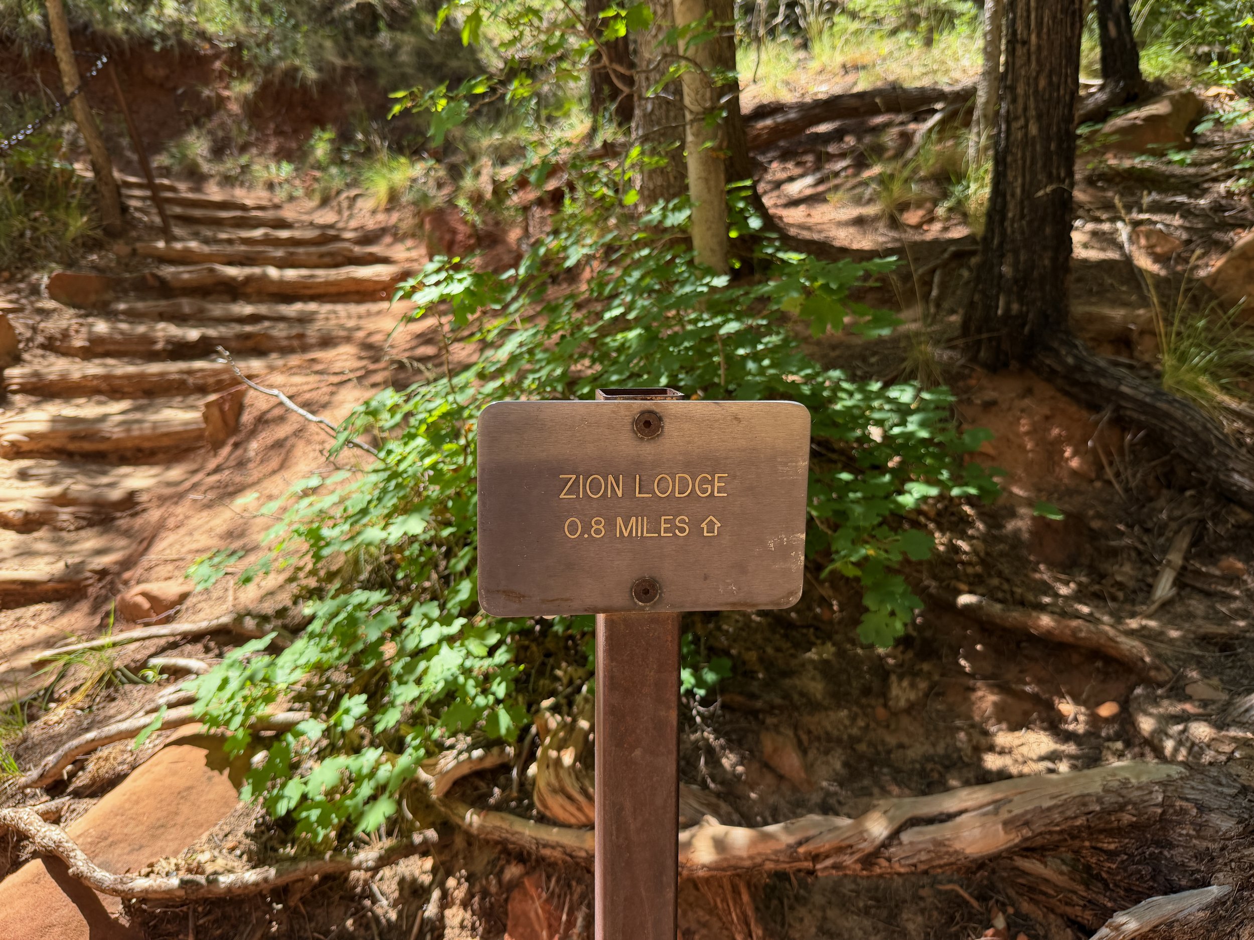 Emerald Pools Trail Zion National Park Utah