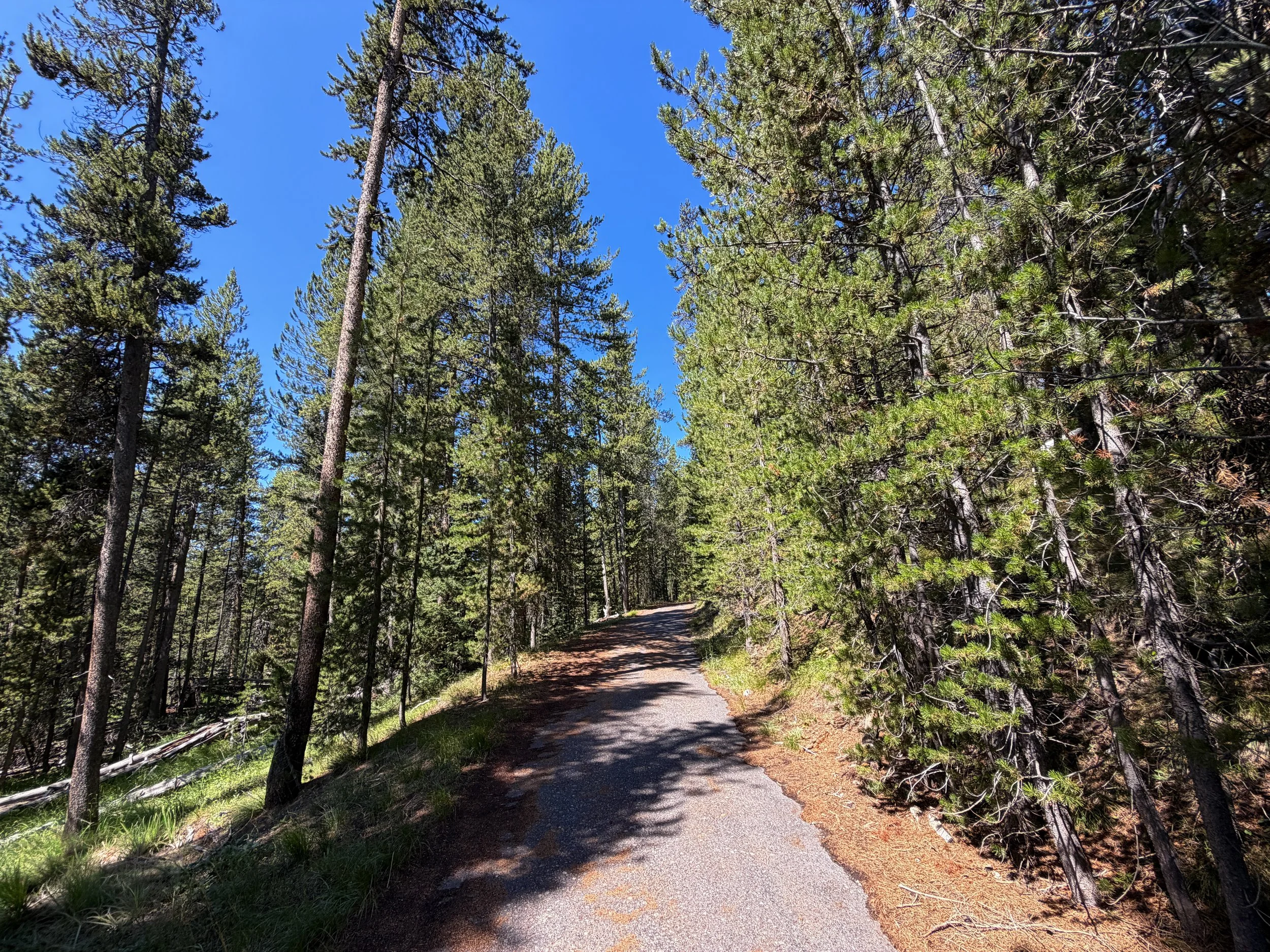 Lone Star Trail Yellowstone National Park Wyoming