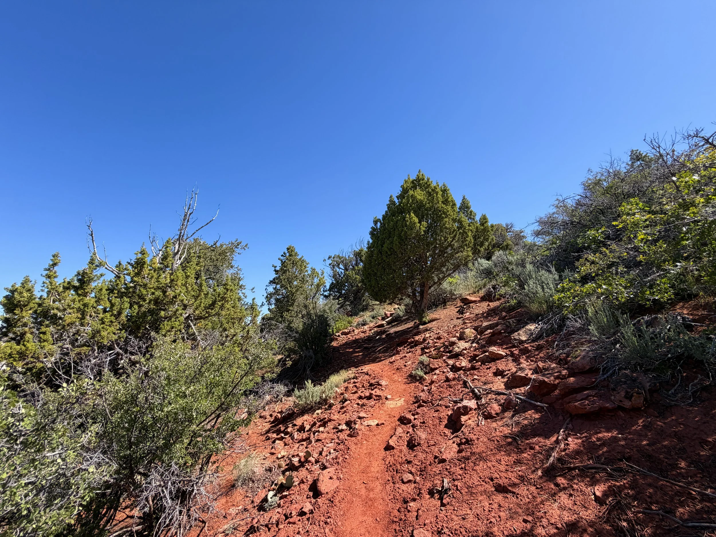 Deertrap Mountain Trail Zion National Park Utah