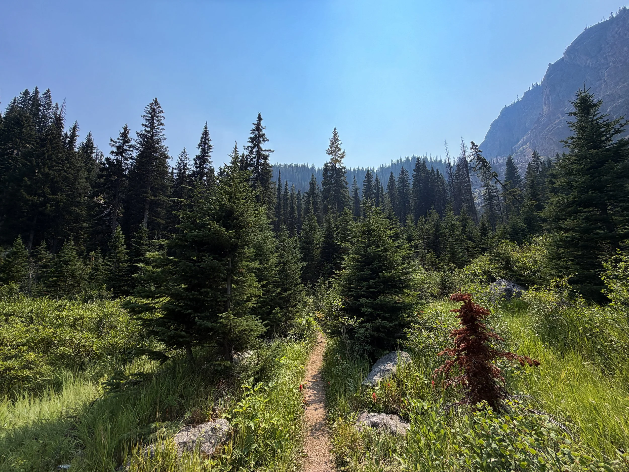 East Rosebud Trail The Beaten Path Beartooth Mountains Montana