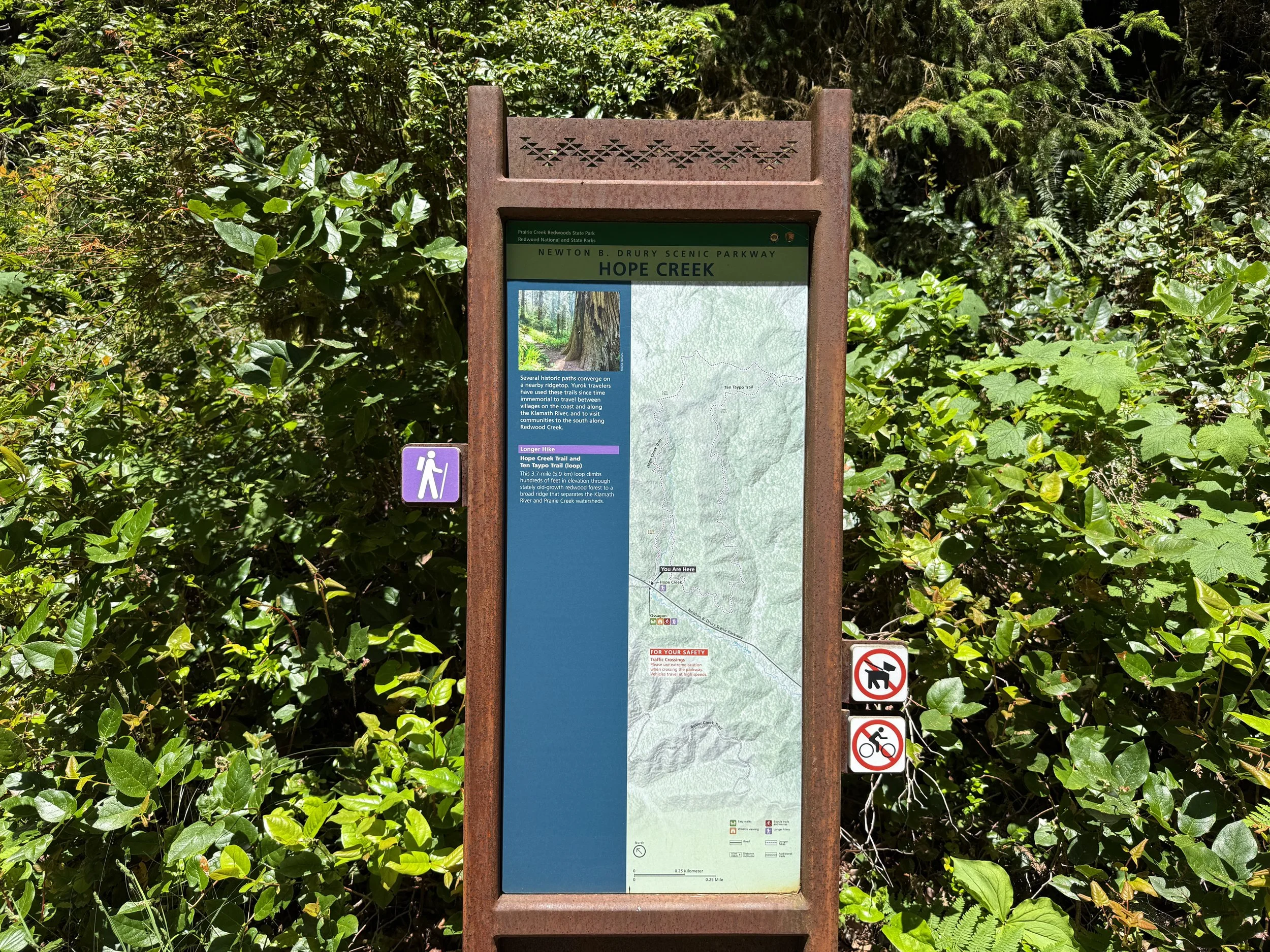 Hope Creek–Ten Taypo Loop Trailhead Prairie Creek Redwoods State Park California