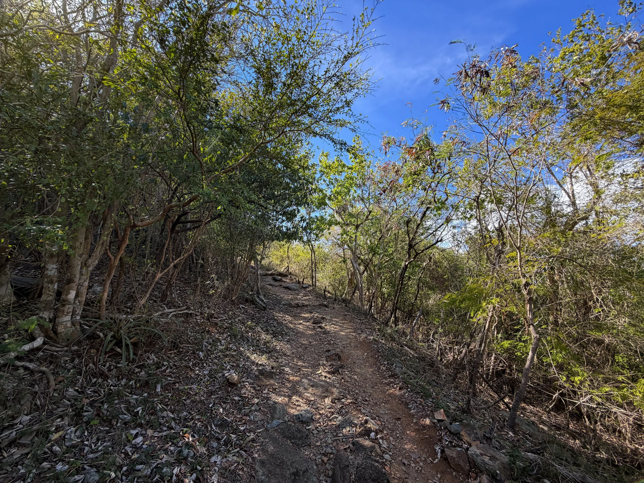 Peace Hill Trail Virgin Islands National Park