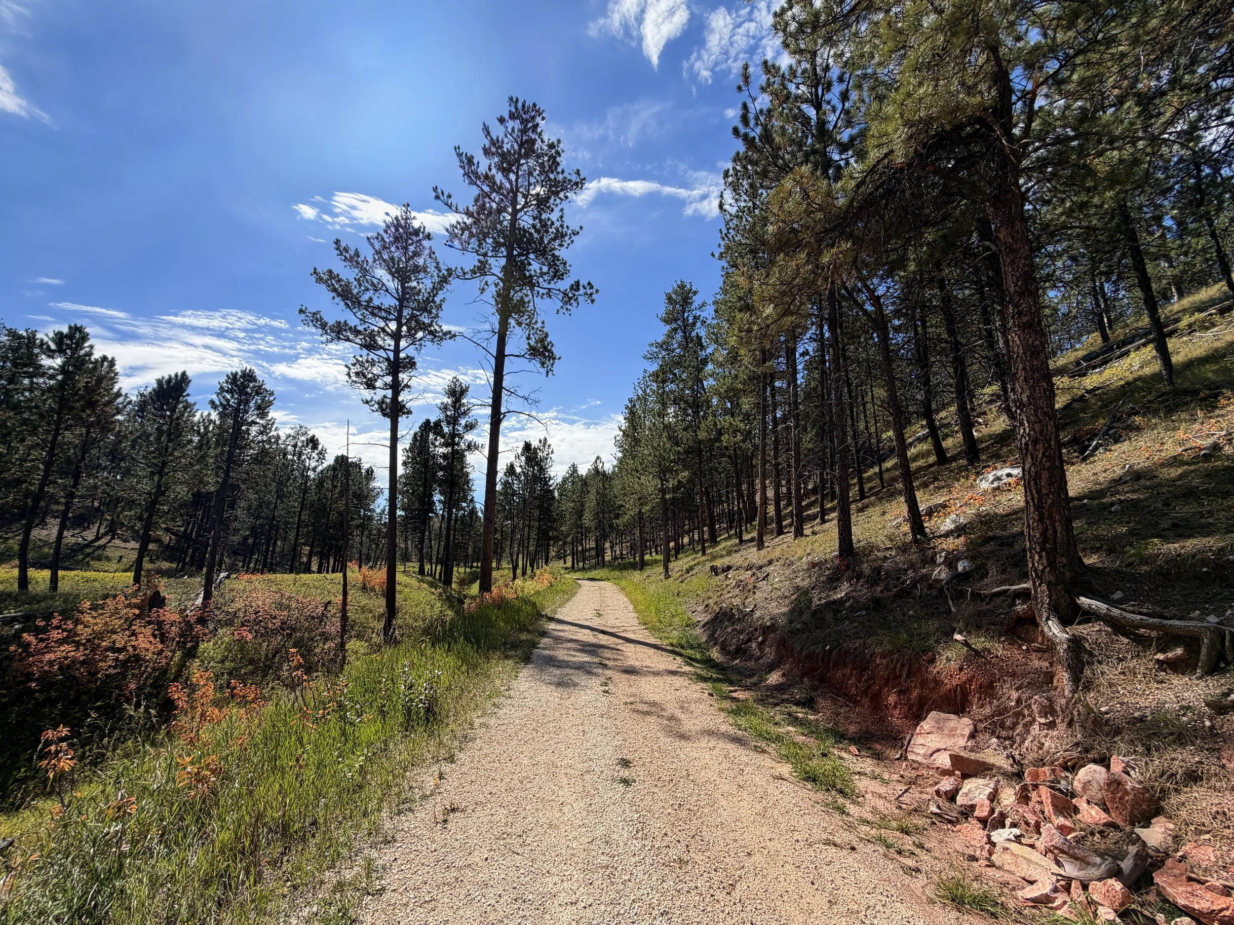 Canyons Trail Jewel Cave National Monument Black Hills South Dakota