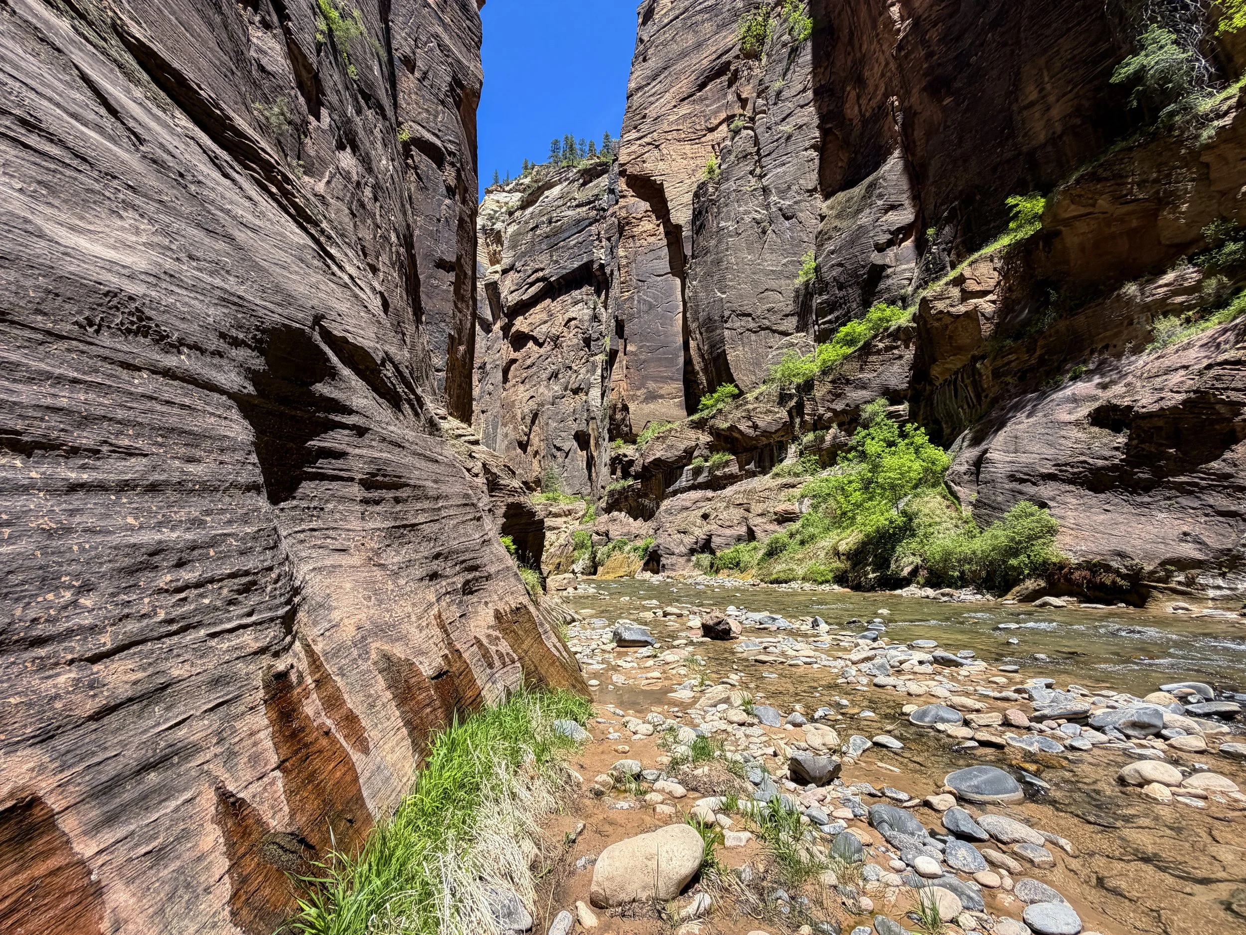 Narrows Bottom-Up to Big Springs Zion National Park Utah