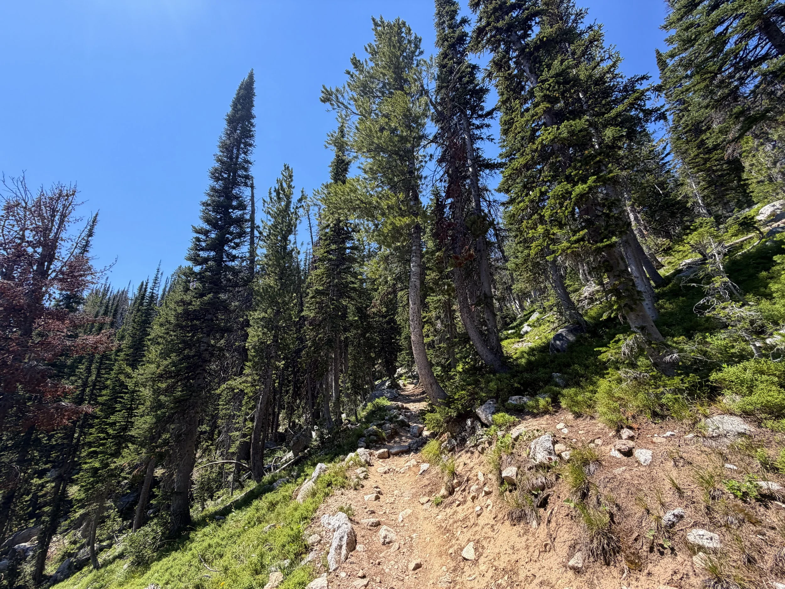Surprise and Amphitheater Lakes Hike Grand Teton National Park Wyoming