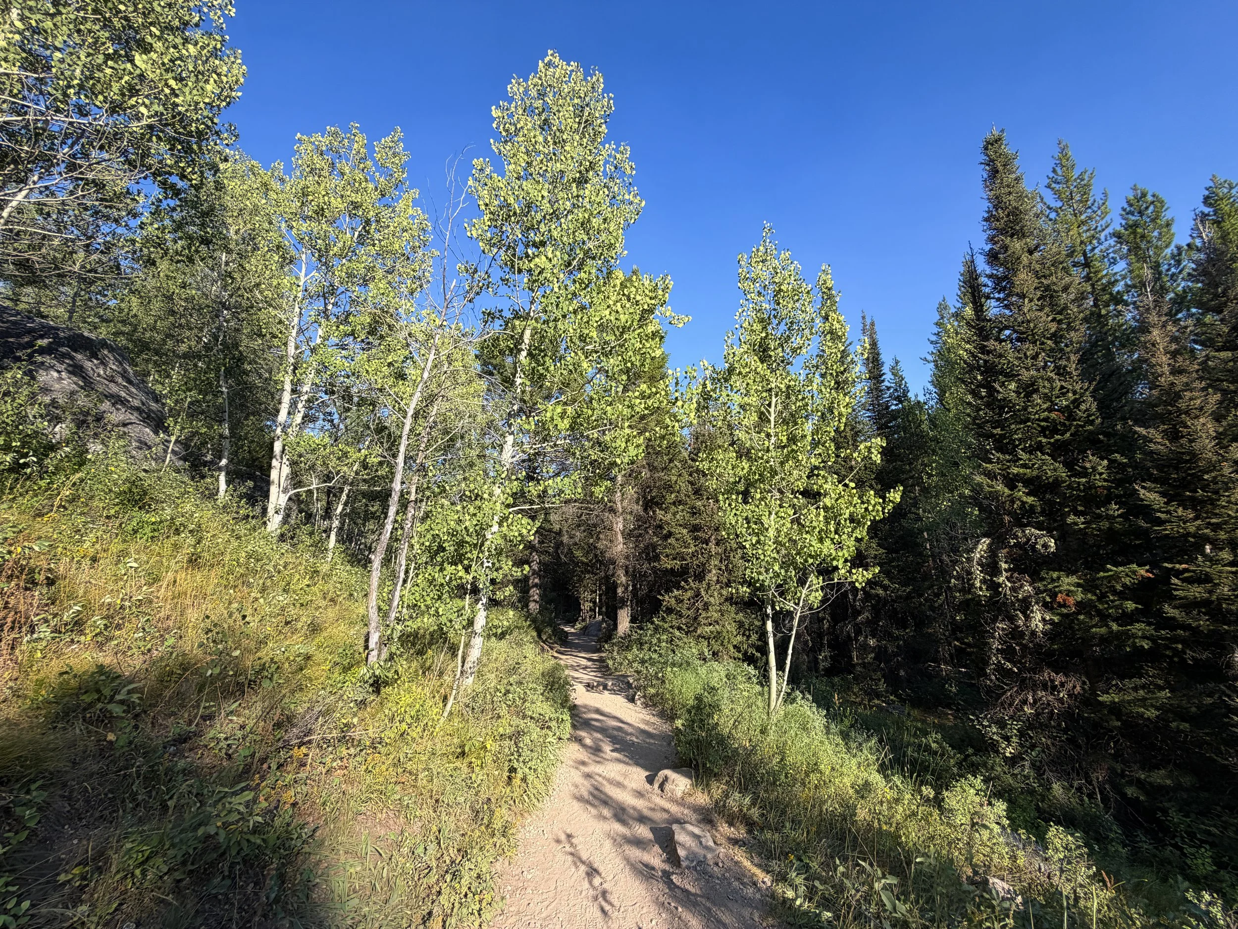 Moose Ponds Loop Trail Grand Teton National Park Wyoming