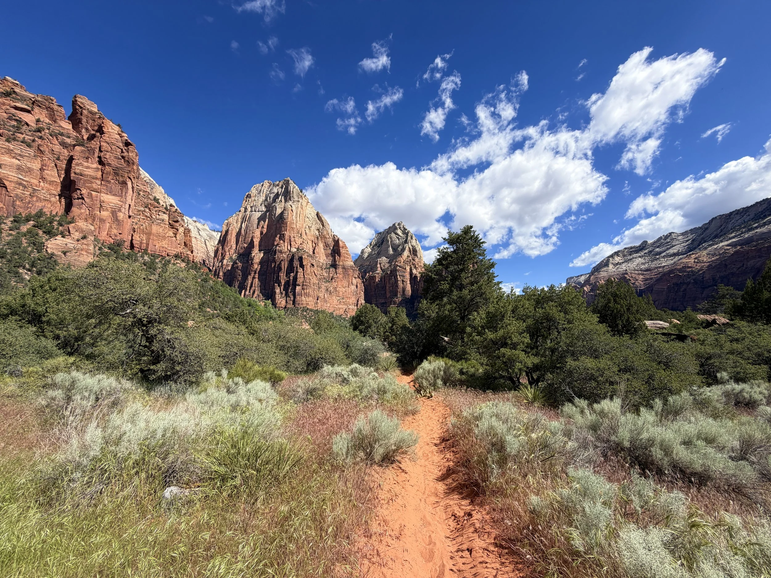 Sand Bench Loop Trail Zion National Park Utah