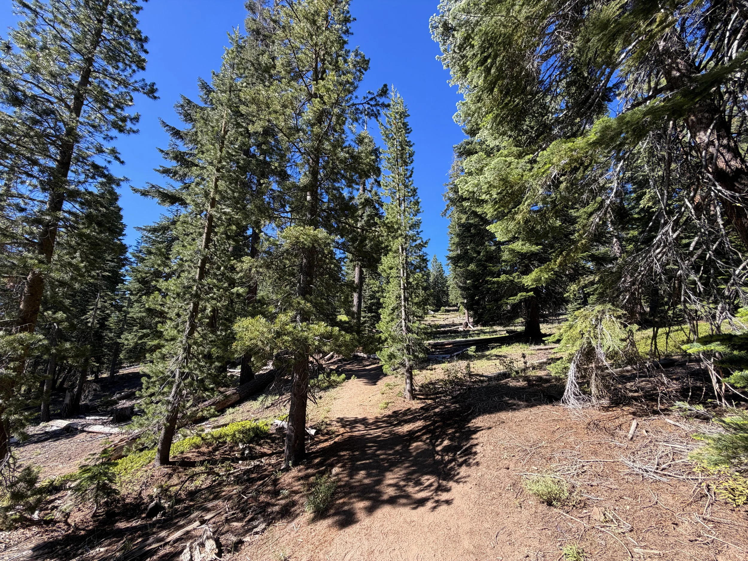 Castle Rock Hike Lake Tahoe Nevada