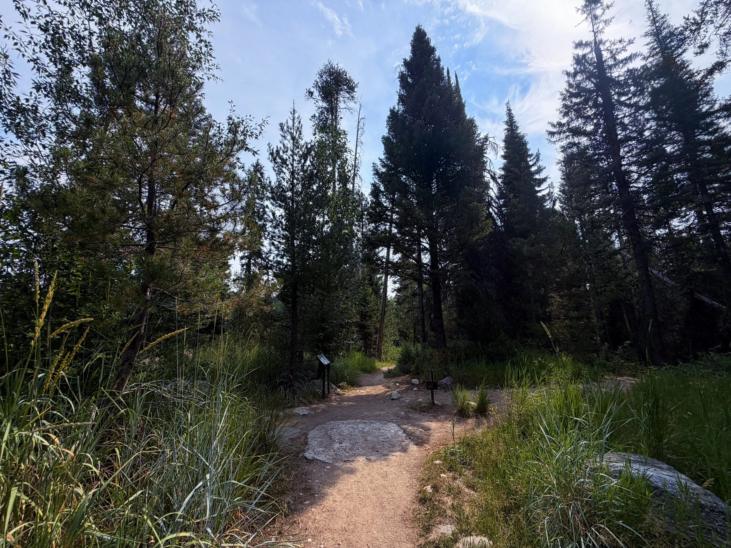 Aspen Ridge Trail Grand Teton National Park Wyoming